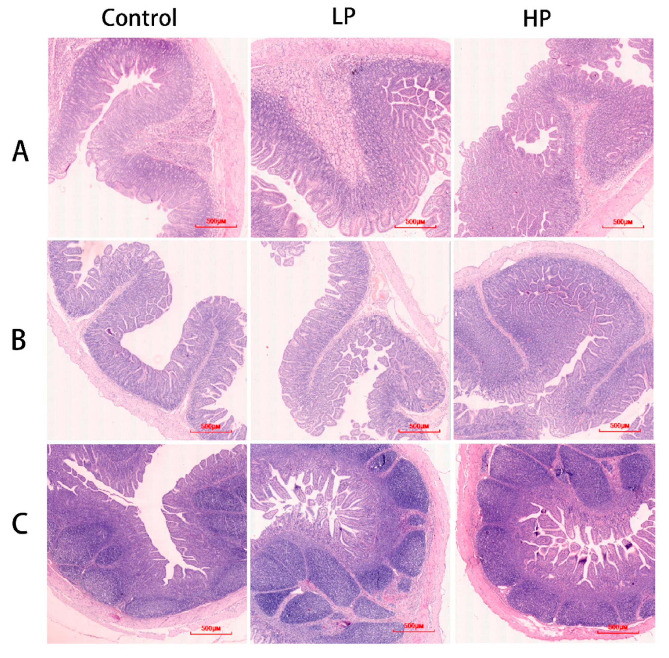 Microorganisms 13 01443 g001
