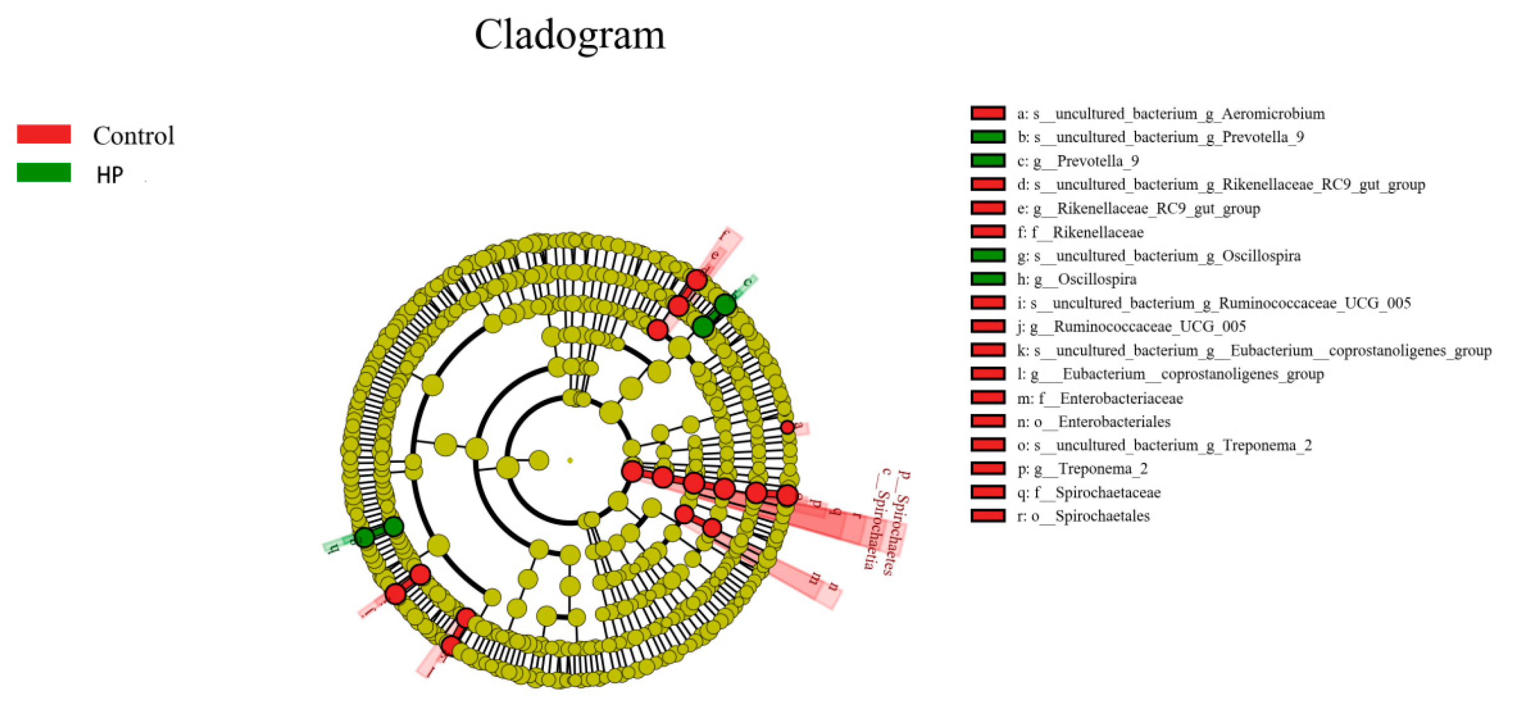 Microorganisms 13 01443 g008