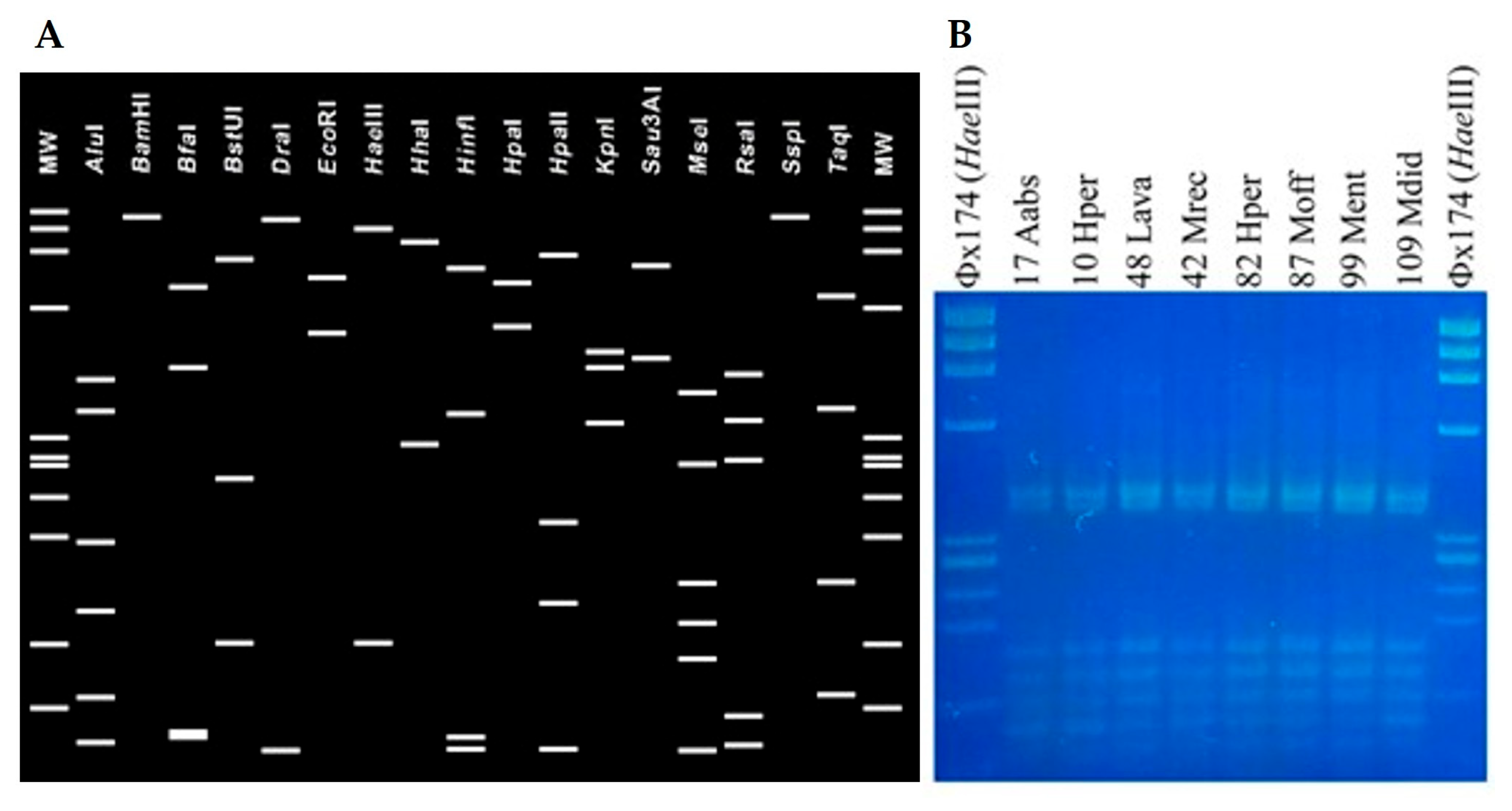 Microorganisms 13 01444 g003 Microorganisms 13 01444 g003