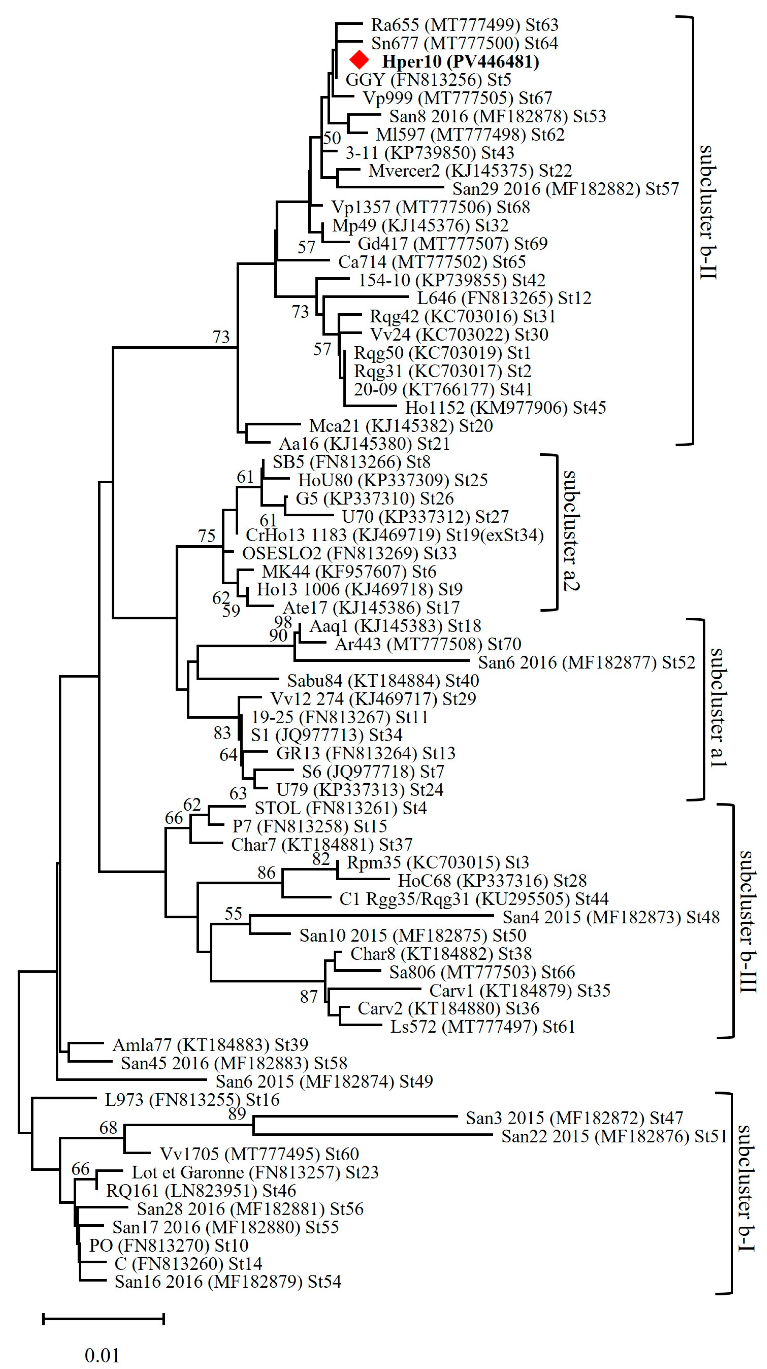 Microorganisms 13 01444 g004 Microorganisms 13 01444 g004