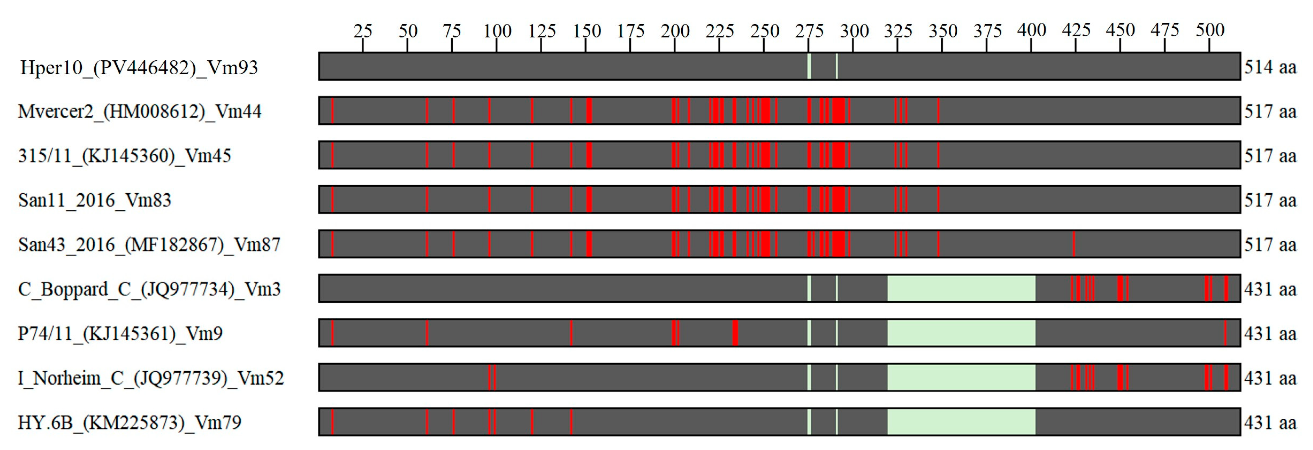 Microorganisms 13 01444 g007 Microorganisms 13 01444 g007