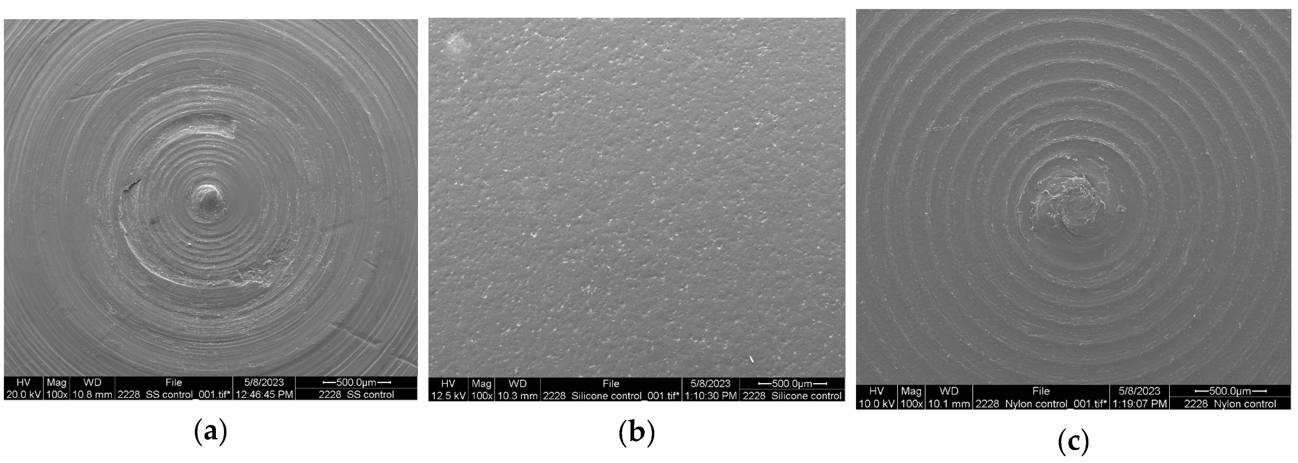 Microorganisms 13 01446 g001