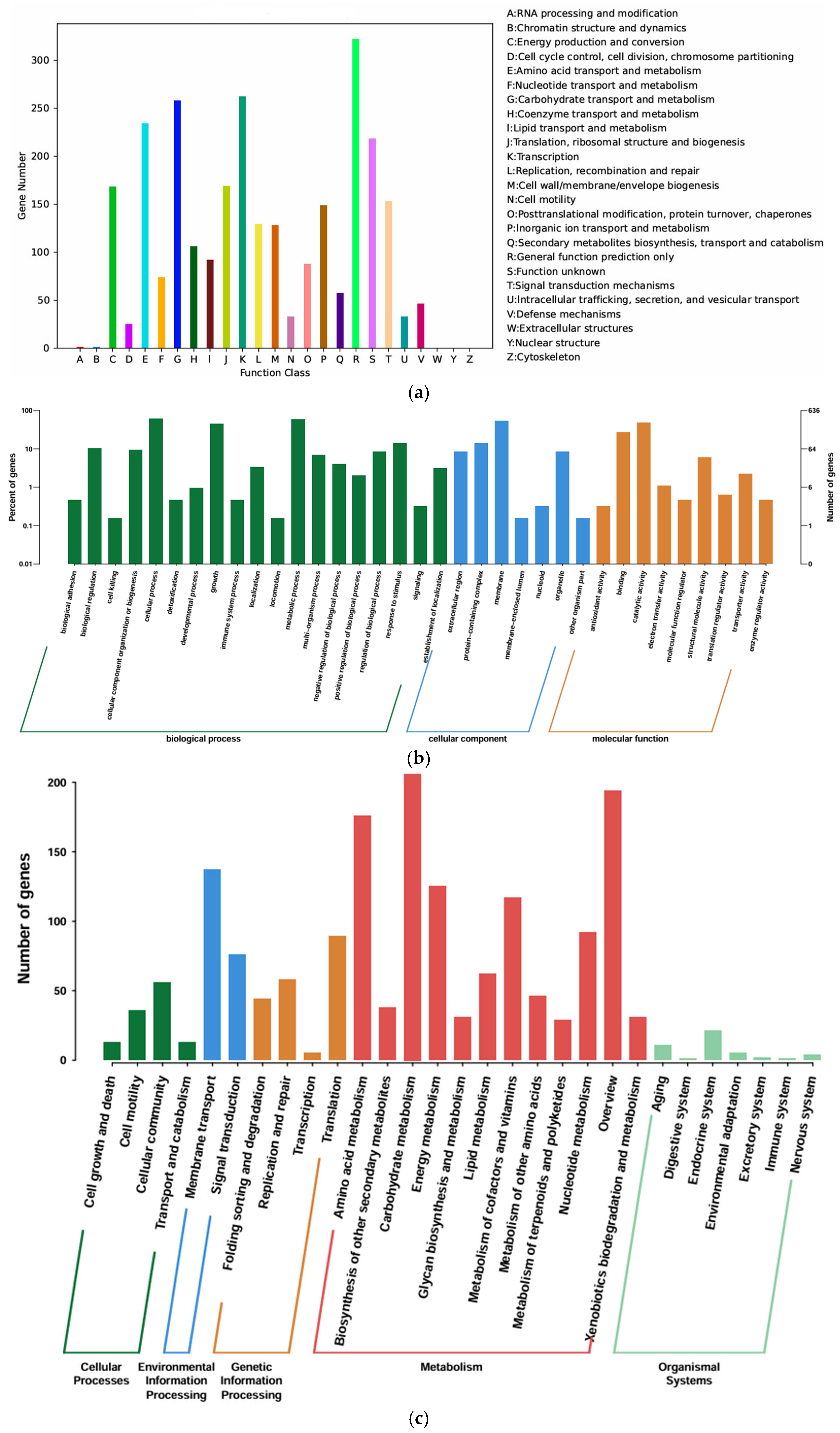 Microorganisms 13 01451 g004