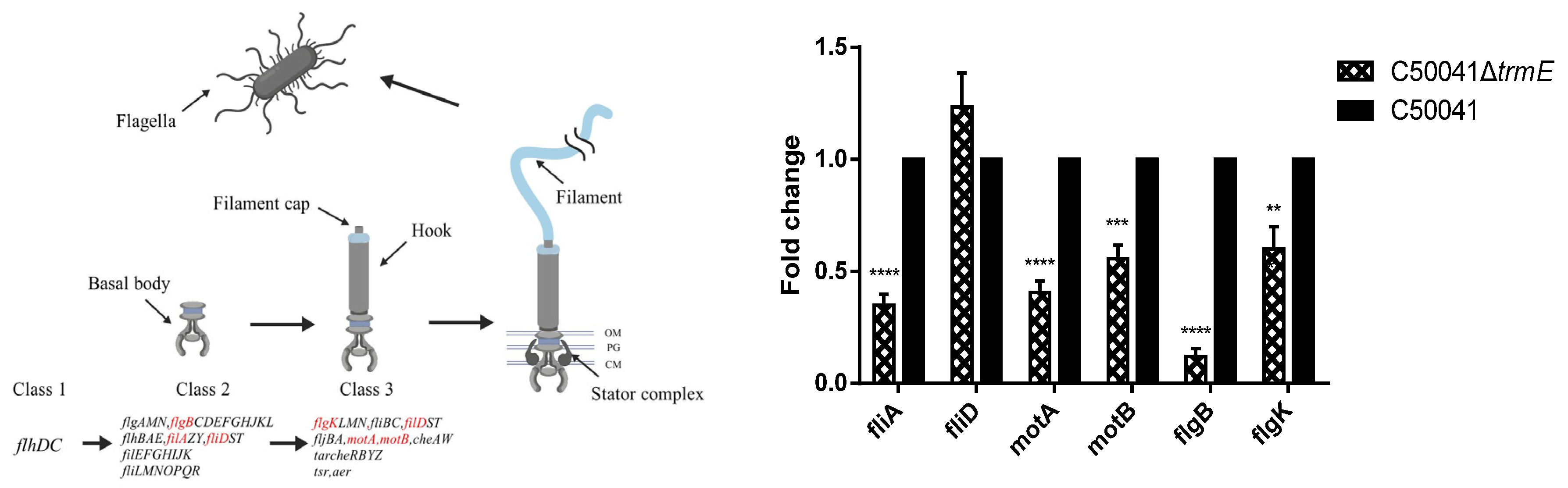 Microorganisms 13 01455 g003