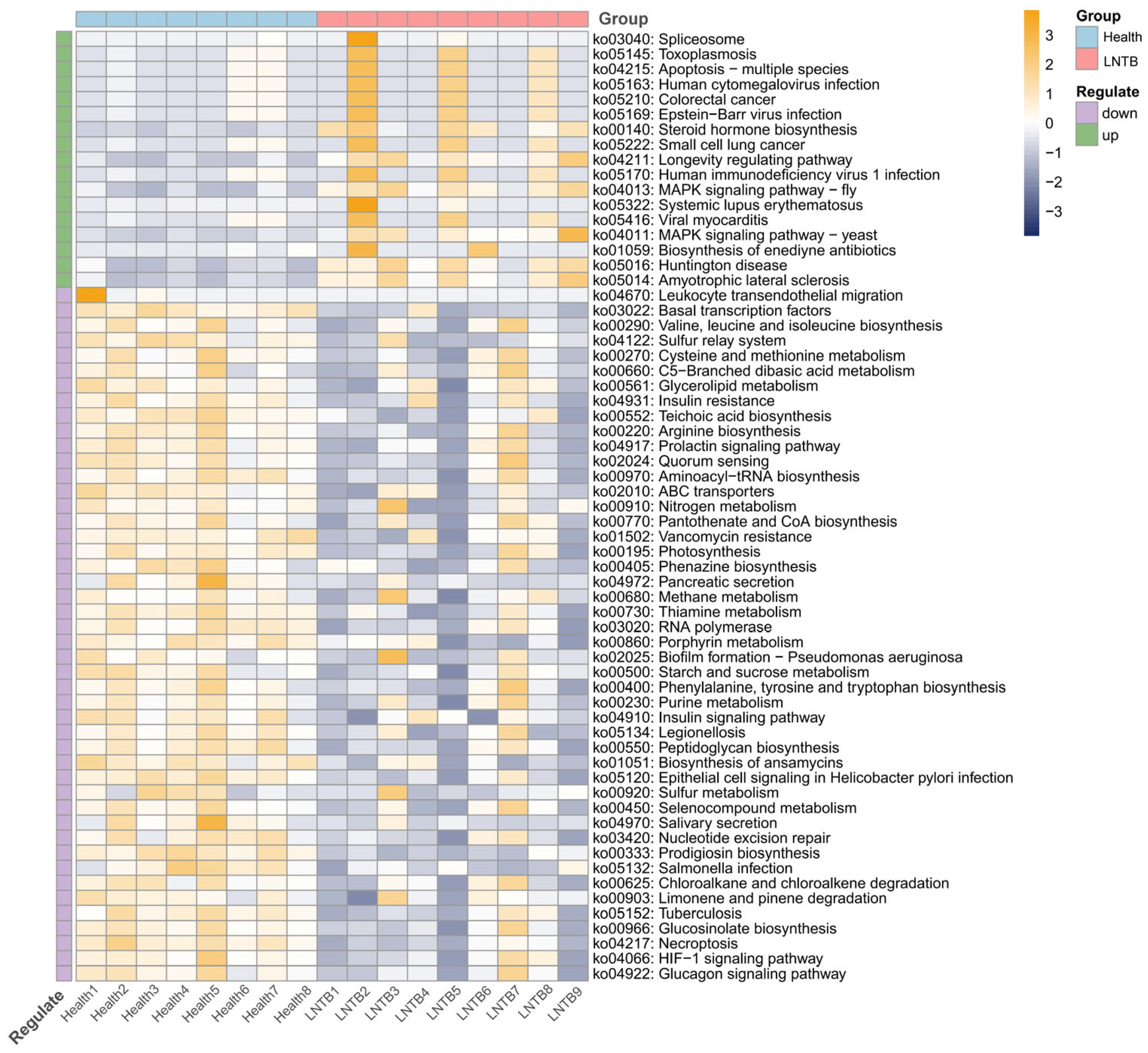 Microorganisms 13 01456 g004
