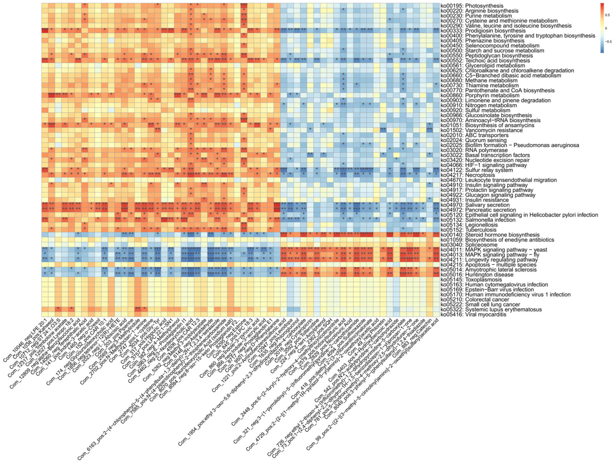 Microorganisms 13 01456 g007