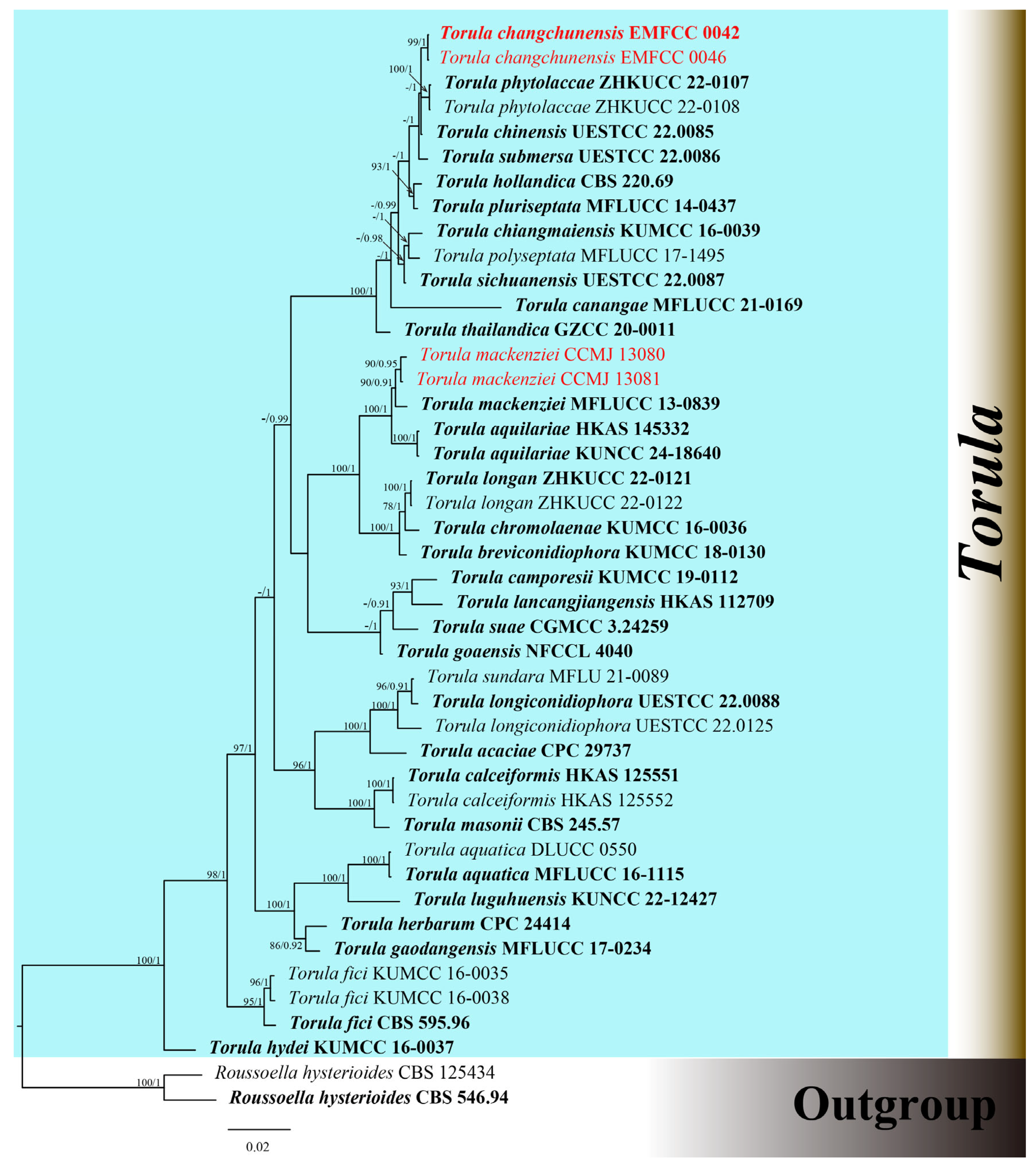 Microorganisms 13 01459 g001