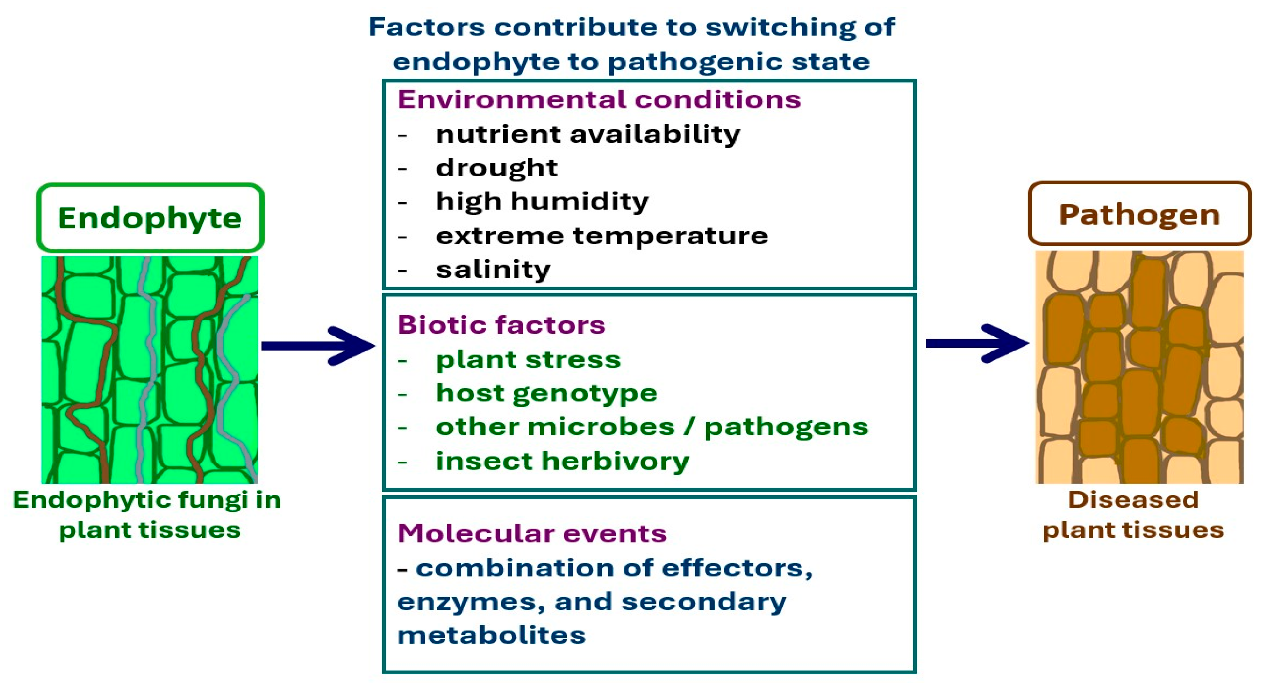 Microorganisms 13 01465 g003