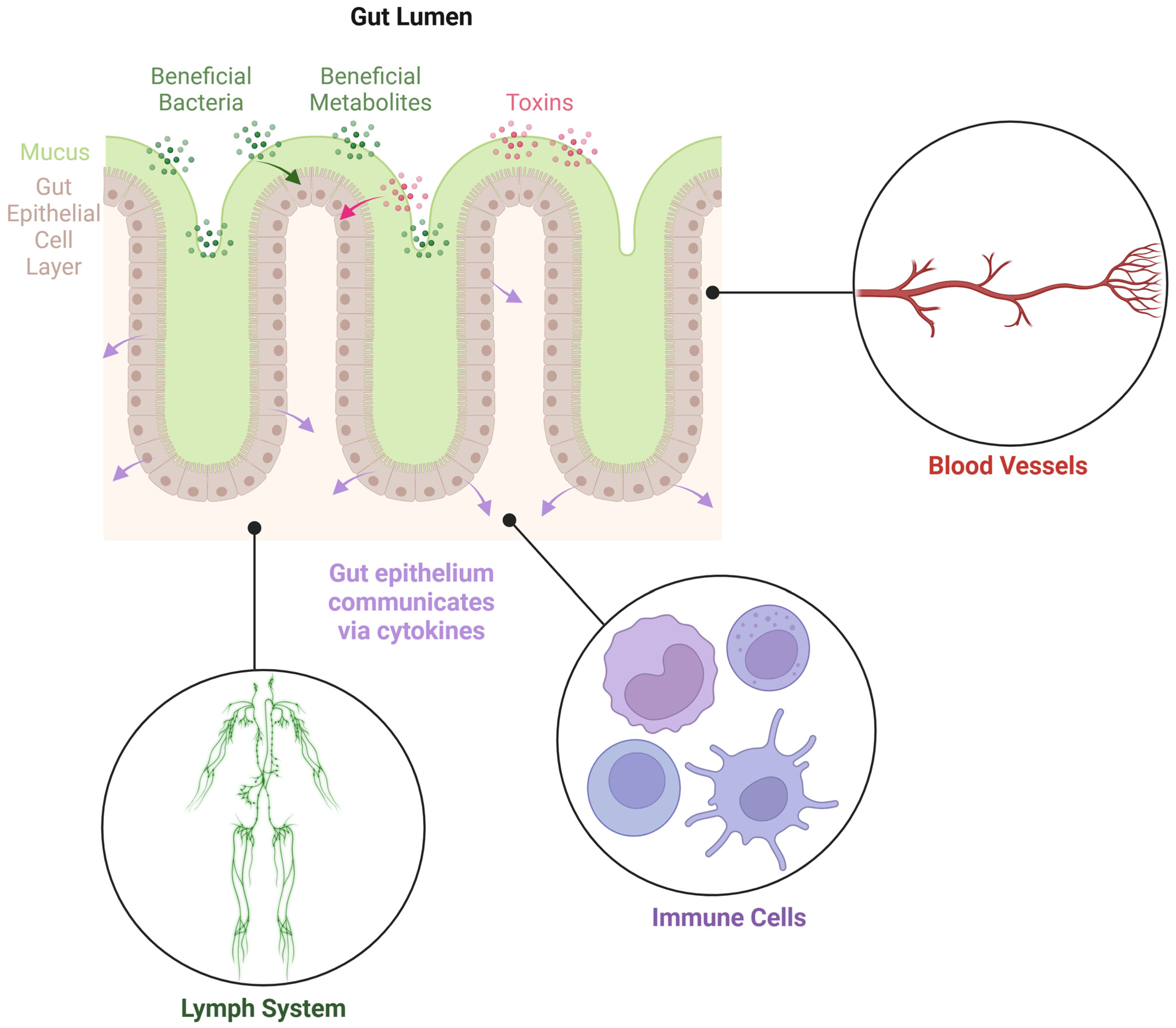 Microorganisms 13 01466 g001