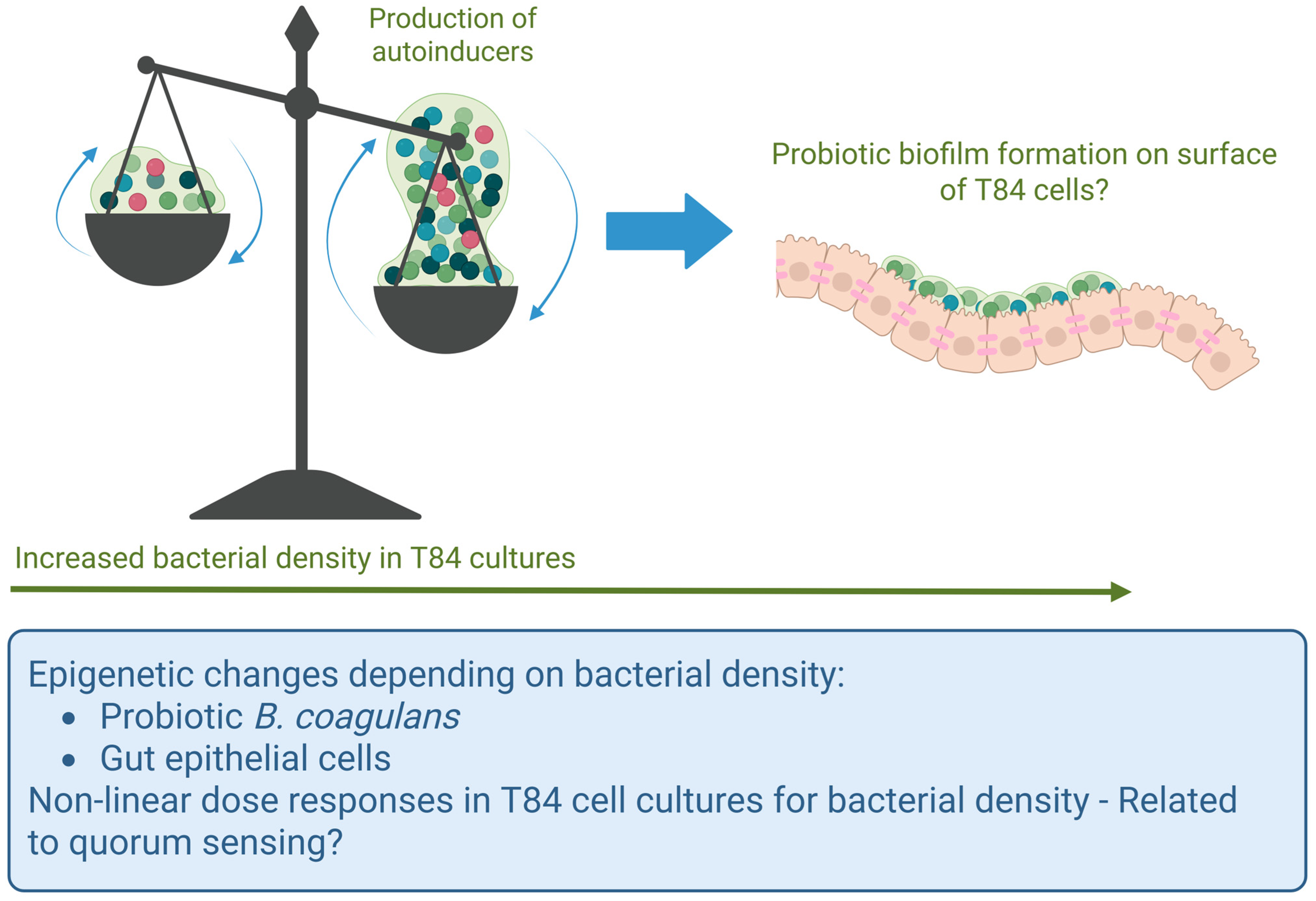 Microorganisms 13 01466 g010