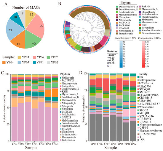 Comparative Metagenomics Reveals Microbial Diversity and Biogeochemical ...