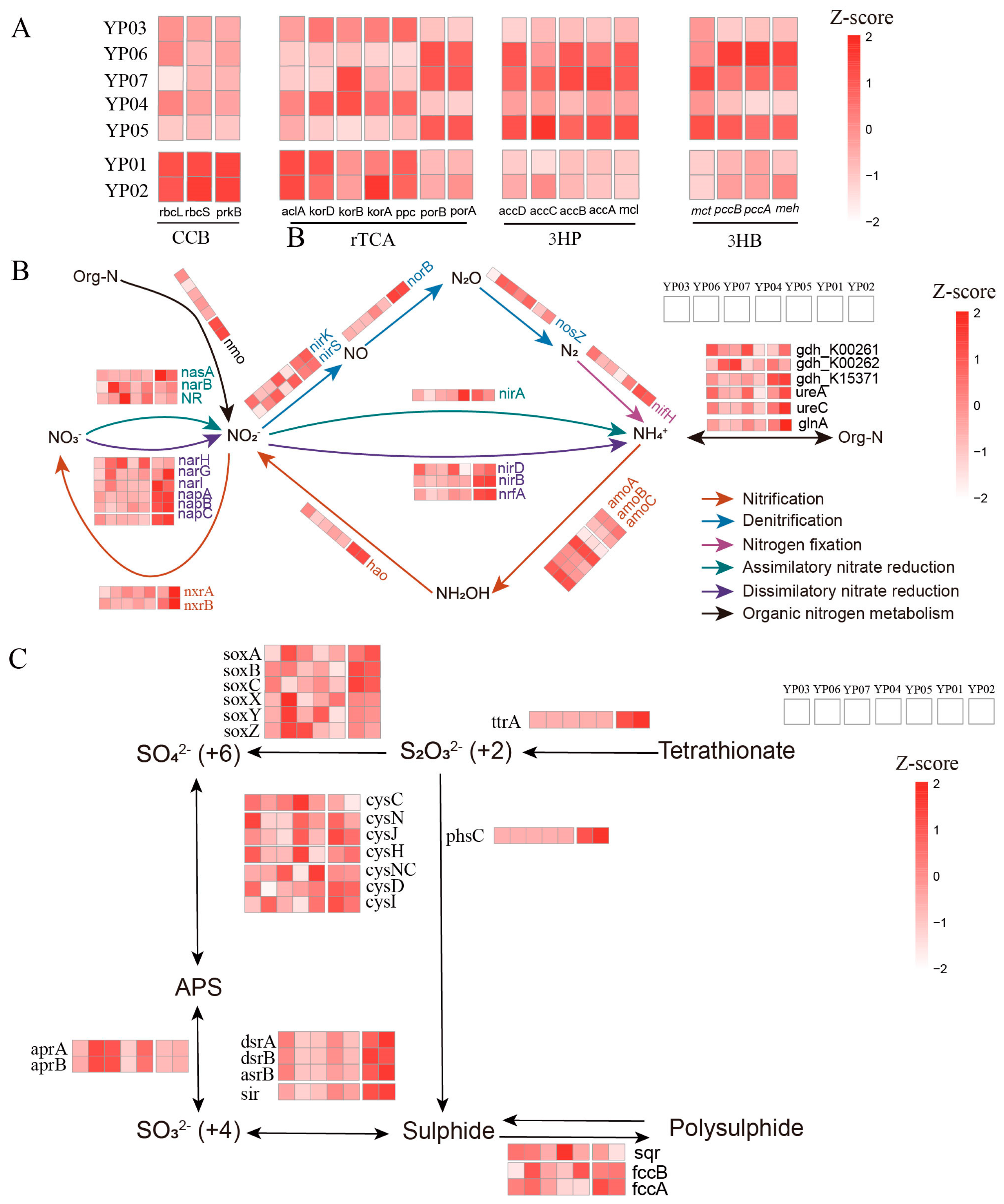 Microorganisms 13 01467 g003