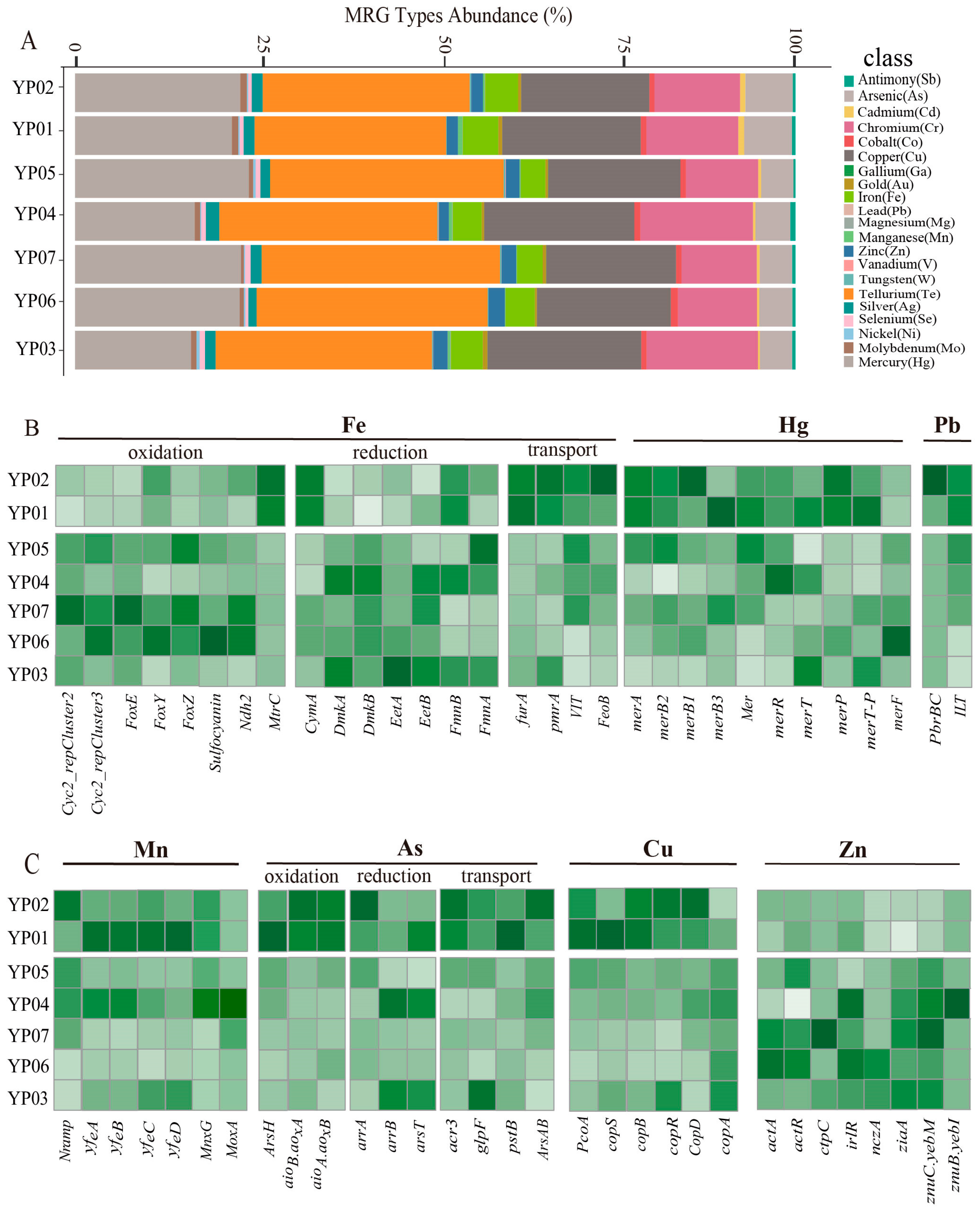 Microorganisms 13 01467 g005