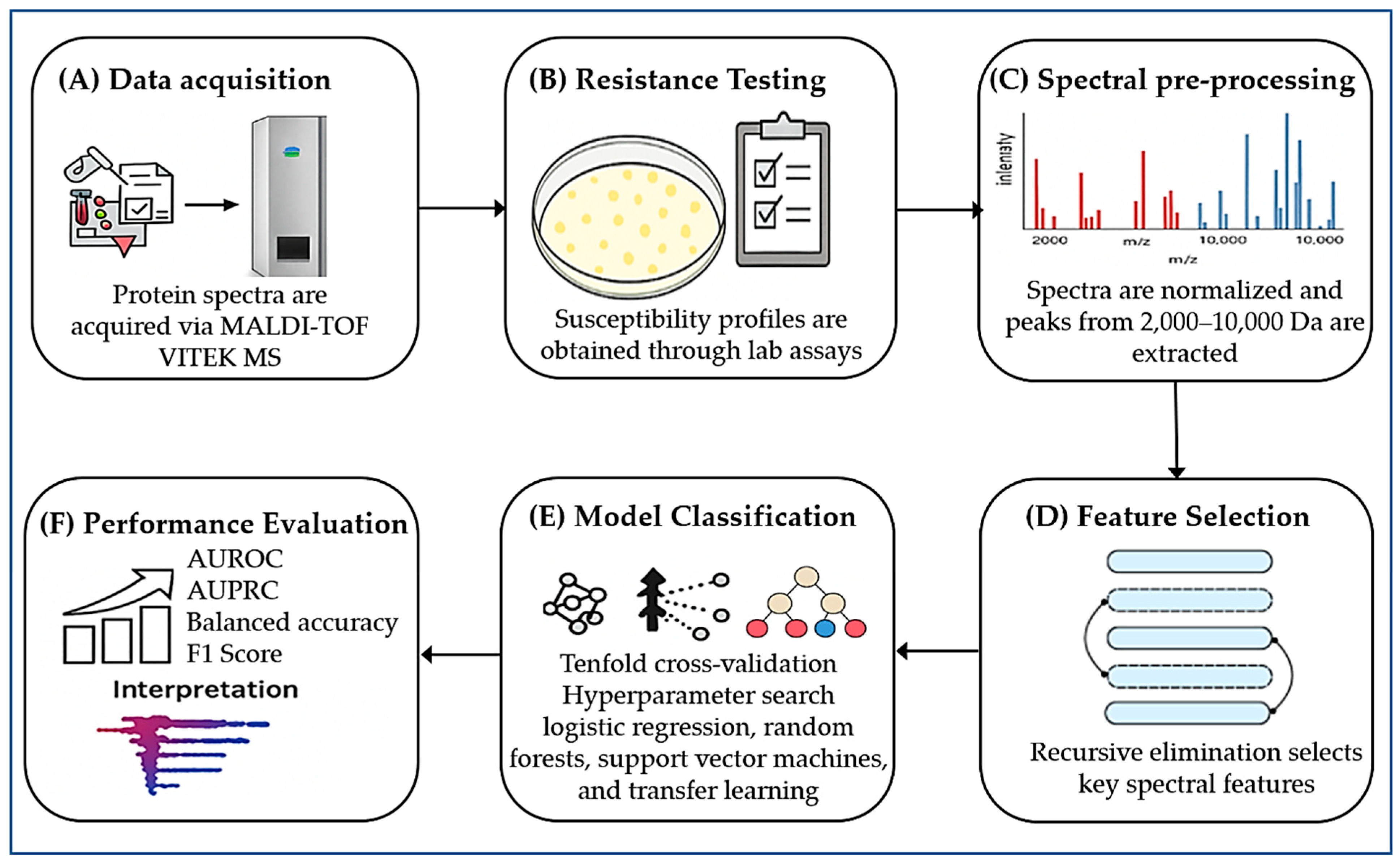 Microorganisms 13 01473 g003