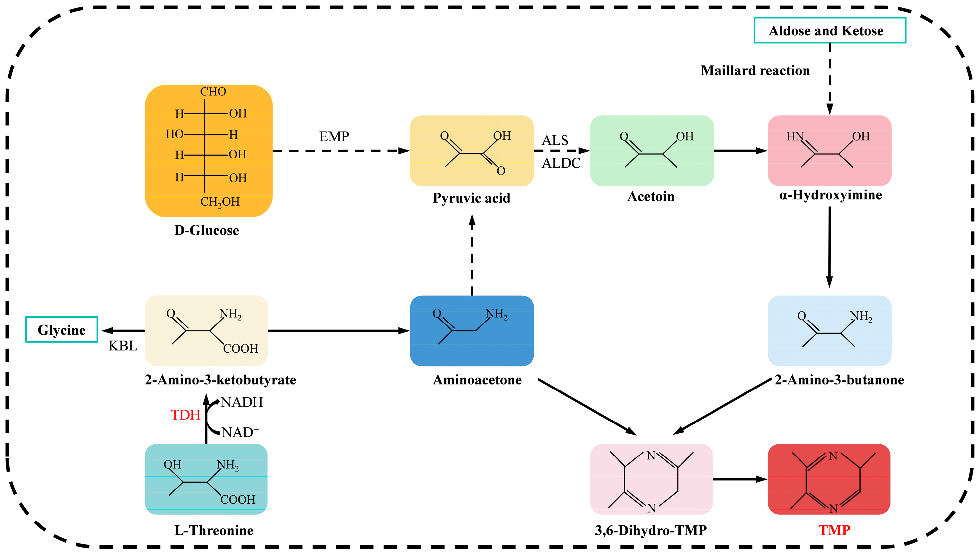 Microorganisms 13 01477 g002