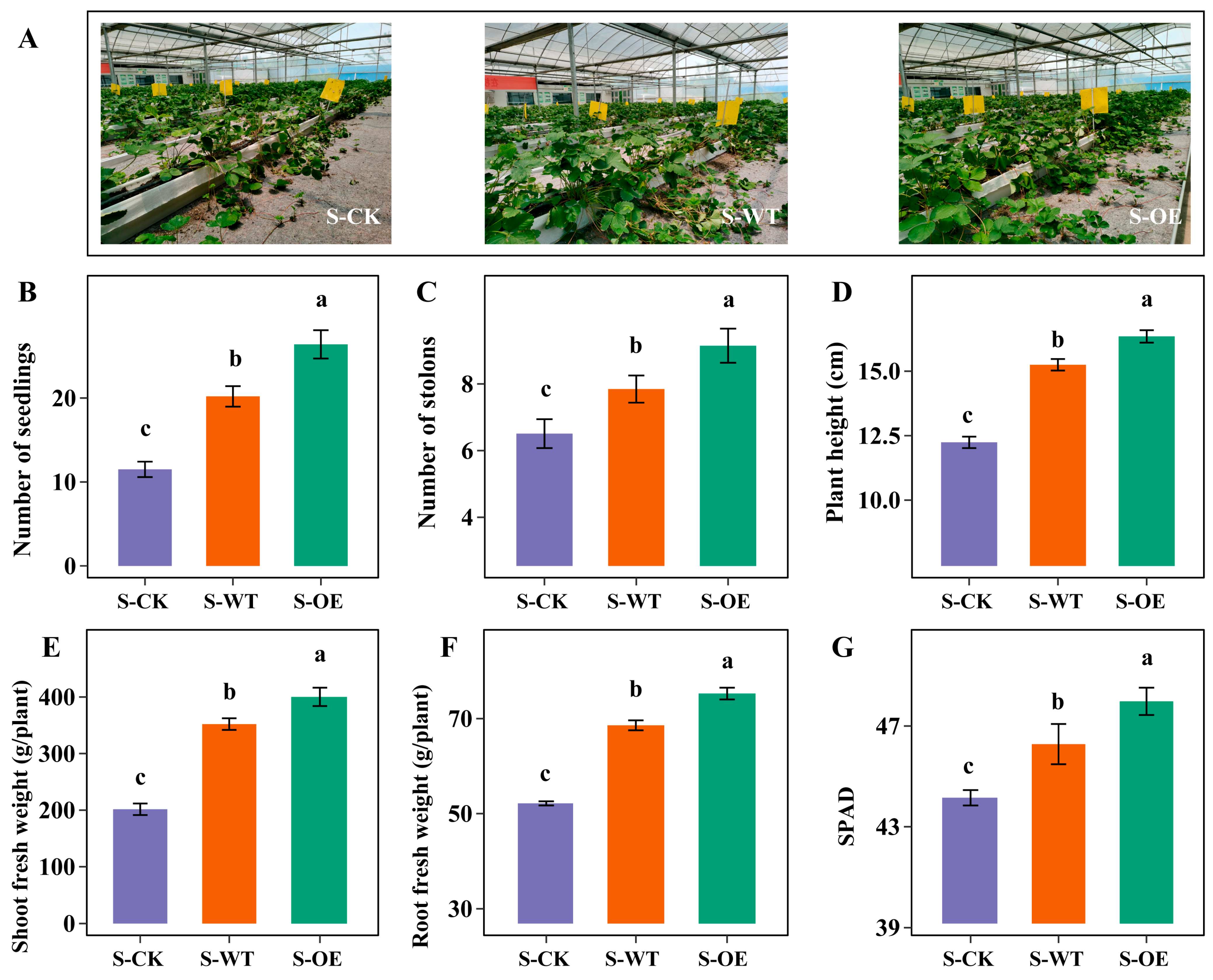 Microorganisms 13 01480 g002