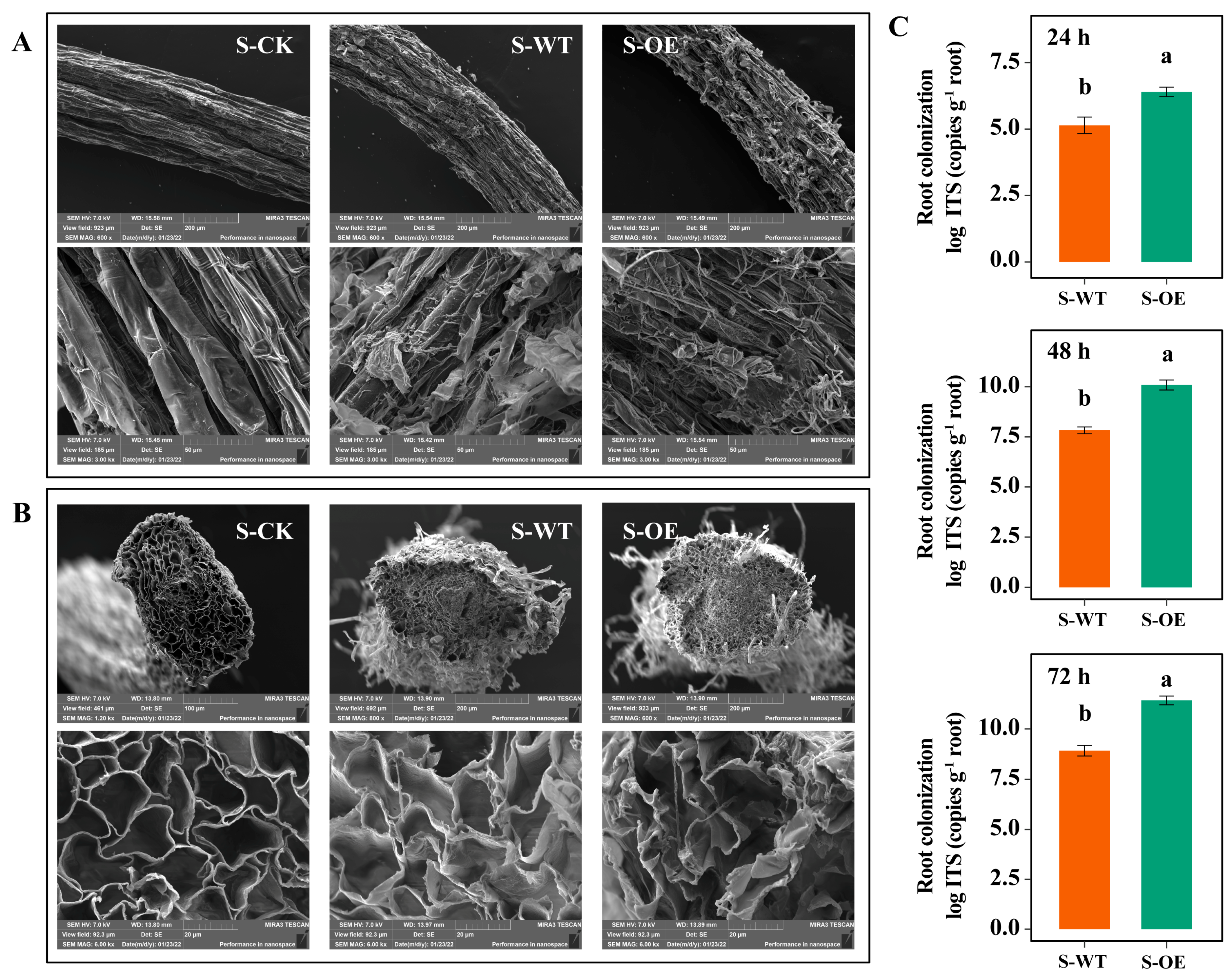 Microorganisms 13 01480 g003
