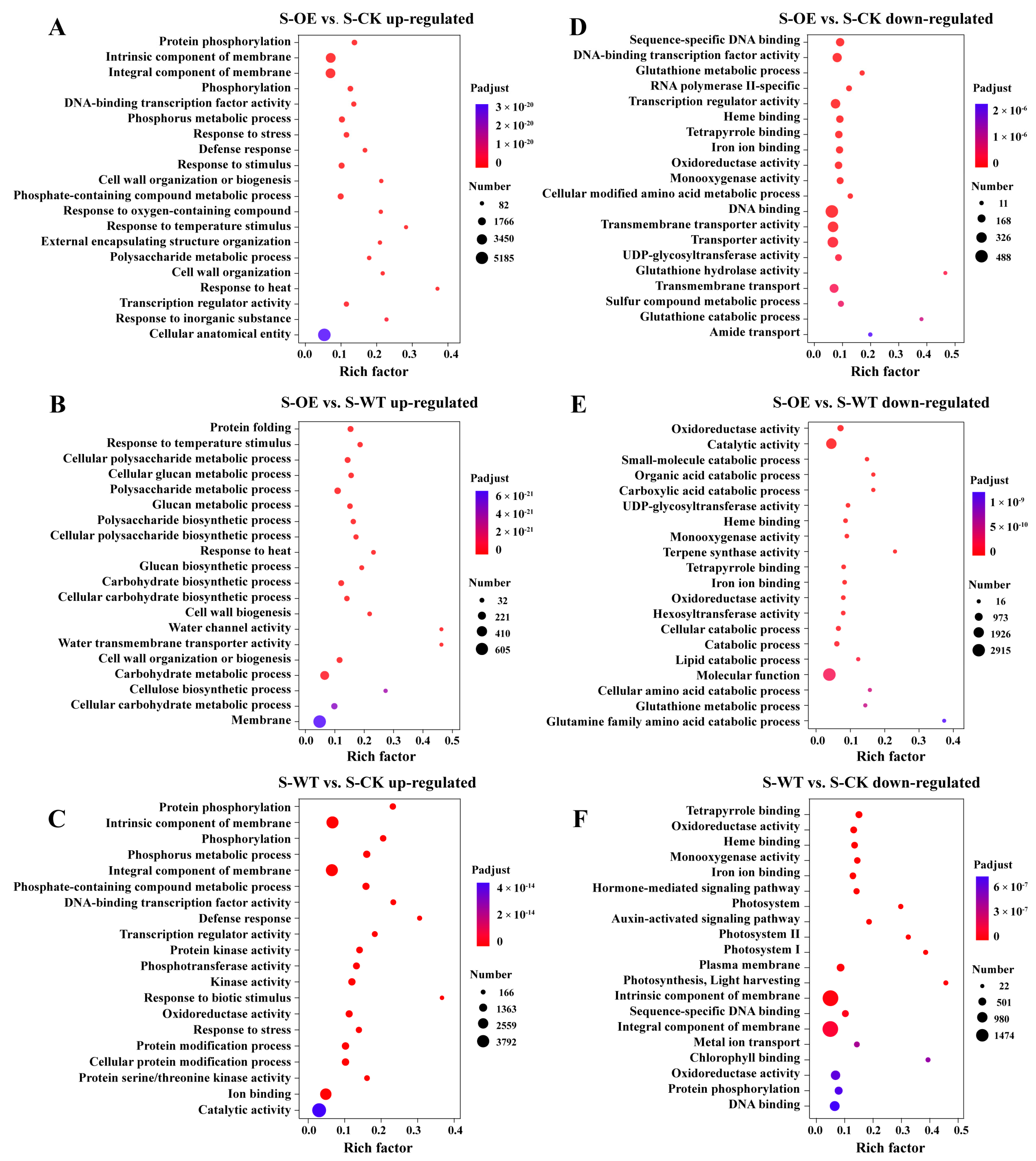 Microorganisms 13 01480 g005