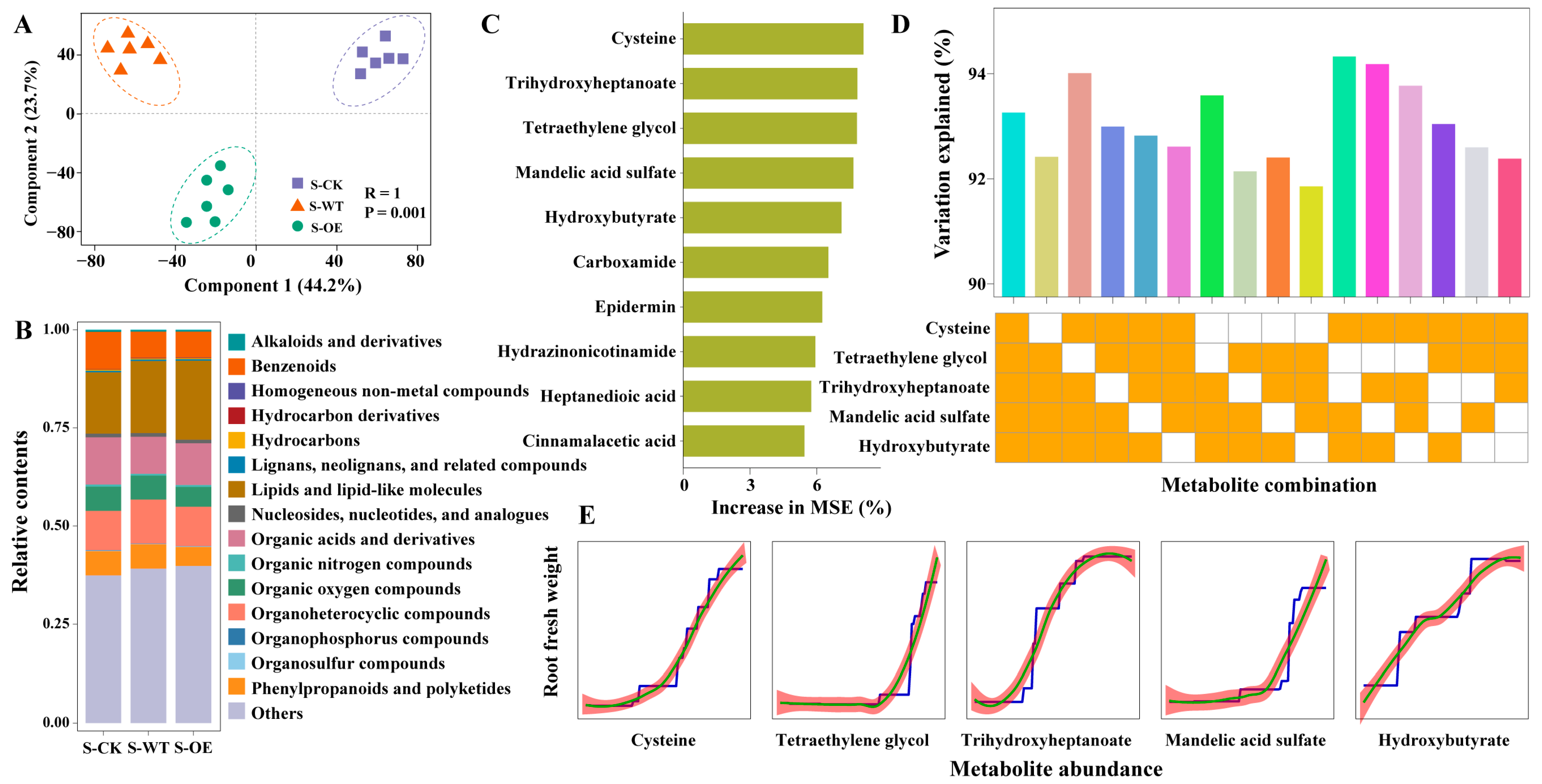 Microorganisms 13 01480 g006