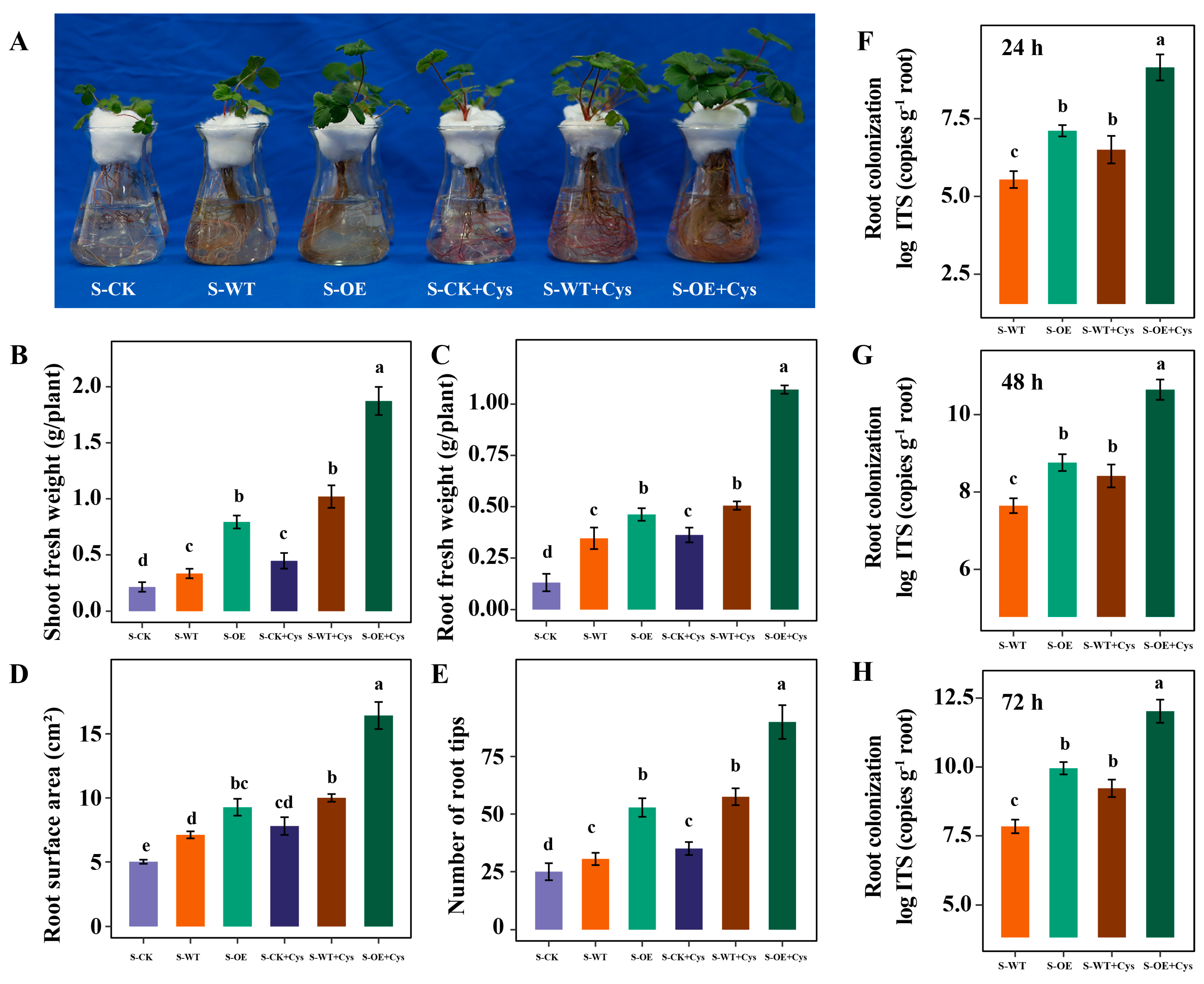 Microorganisms 13 01480 g007