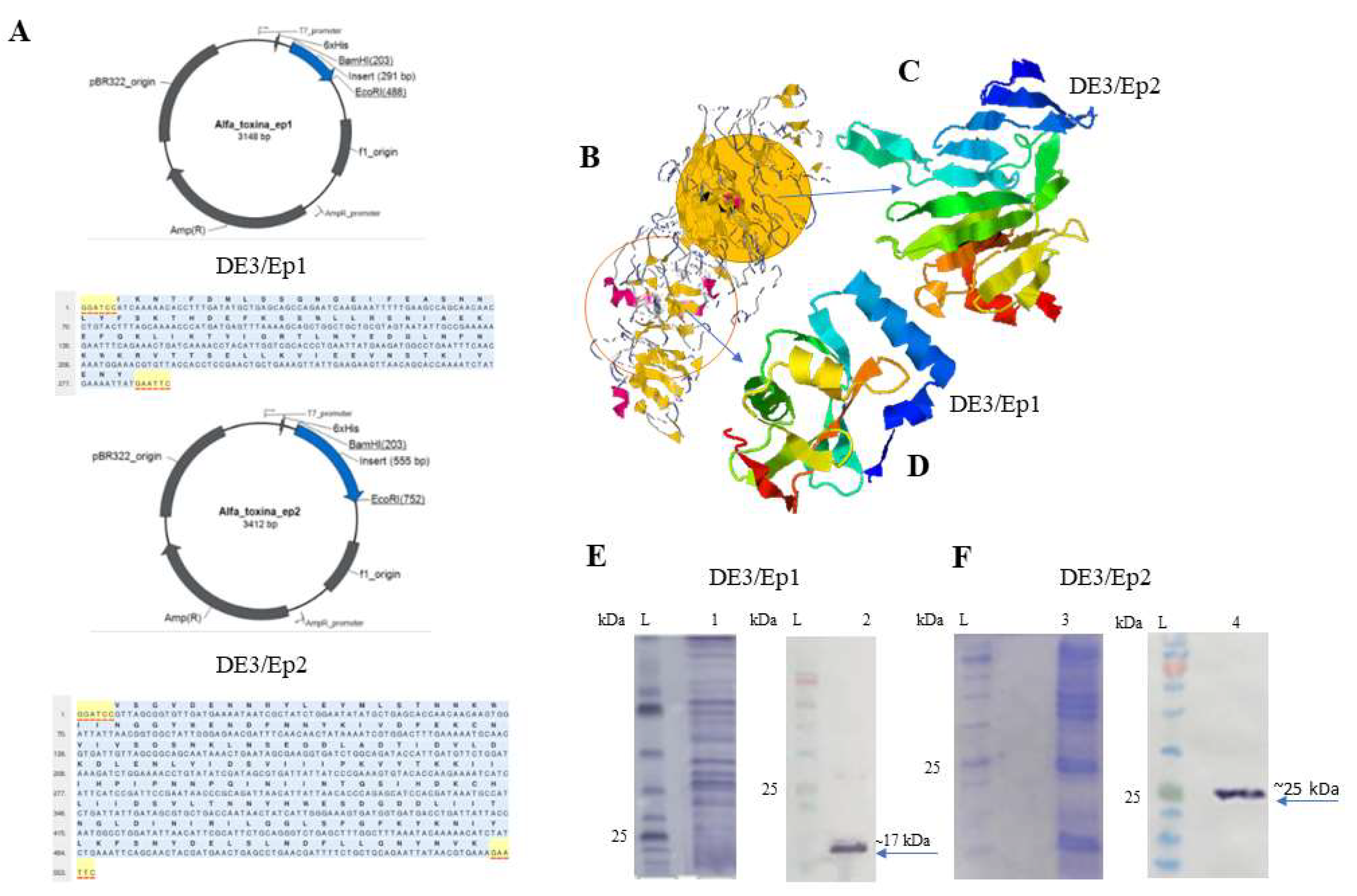 Microorganisms 13 01481 g001