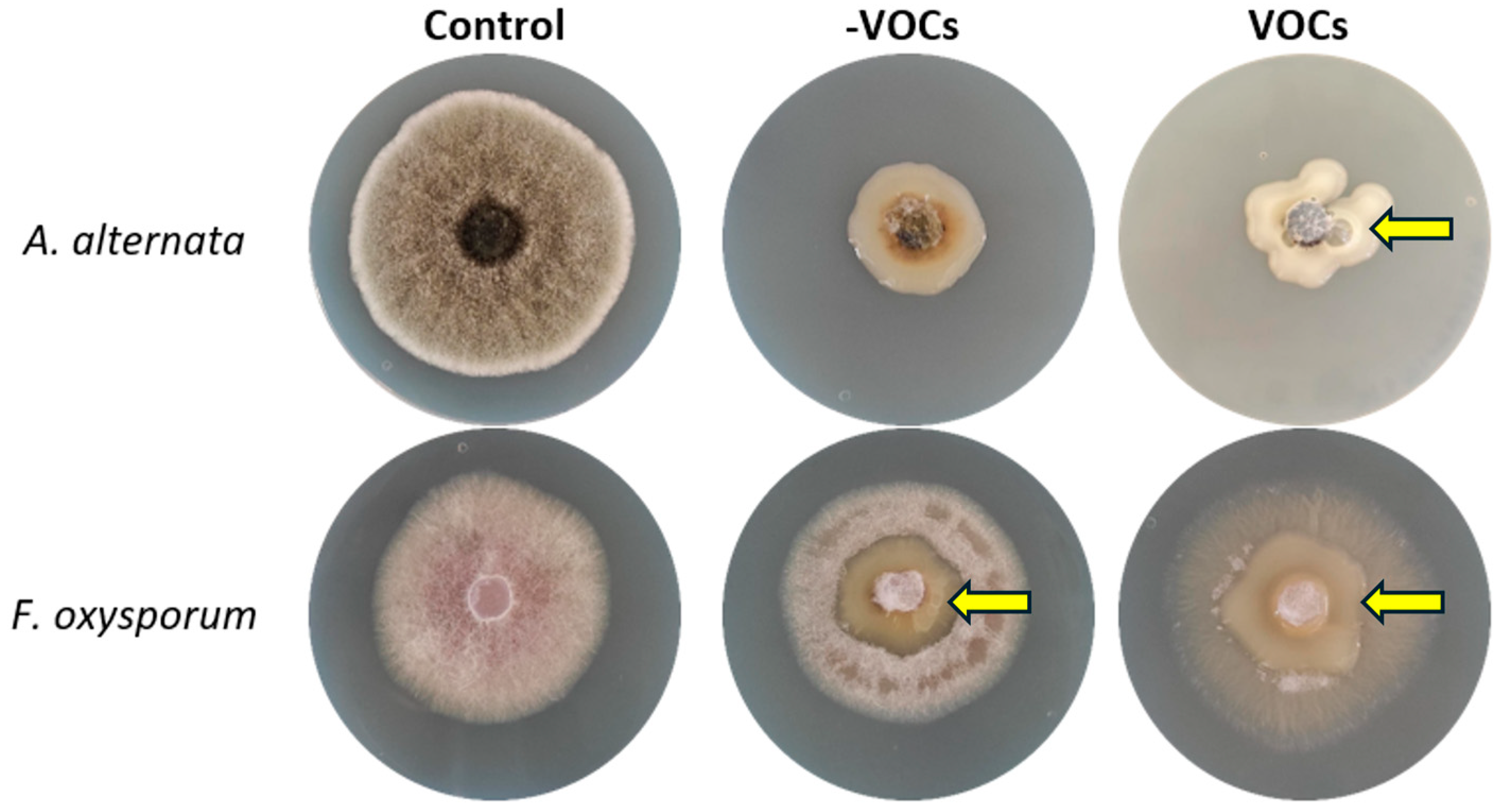 Microorganisms 13 01483 g002