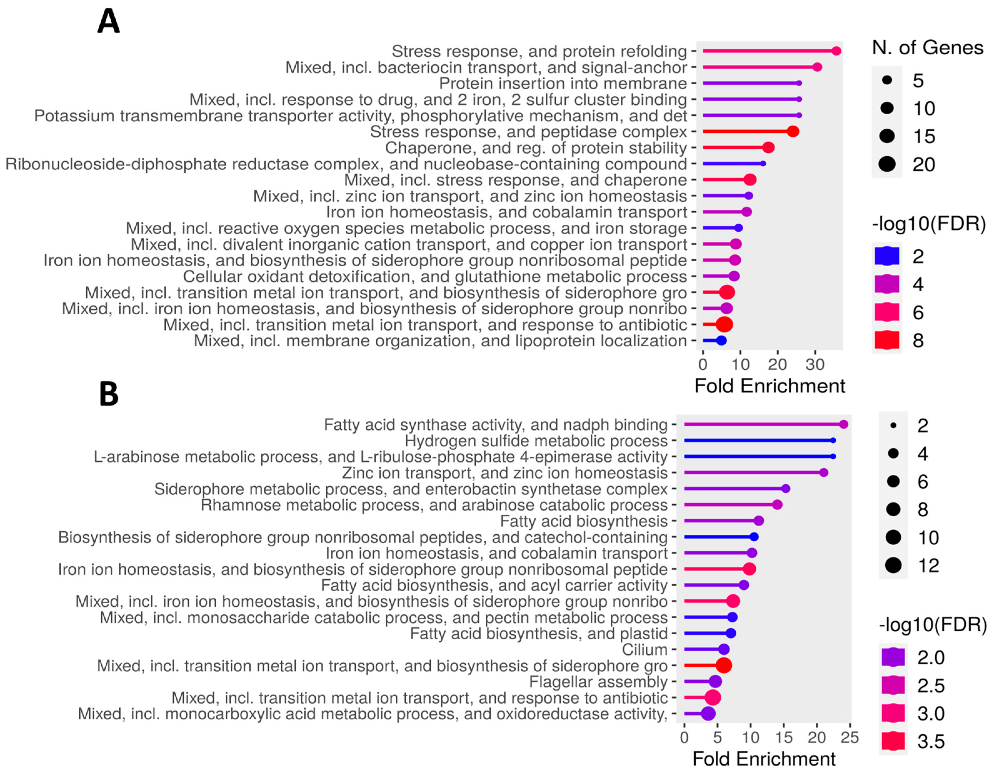 Microorganisms 13 01483 g007