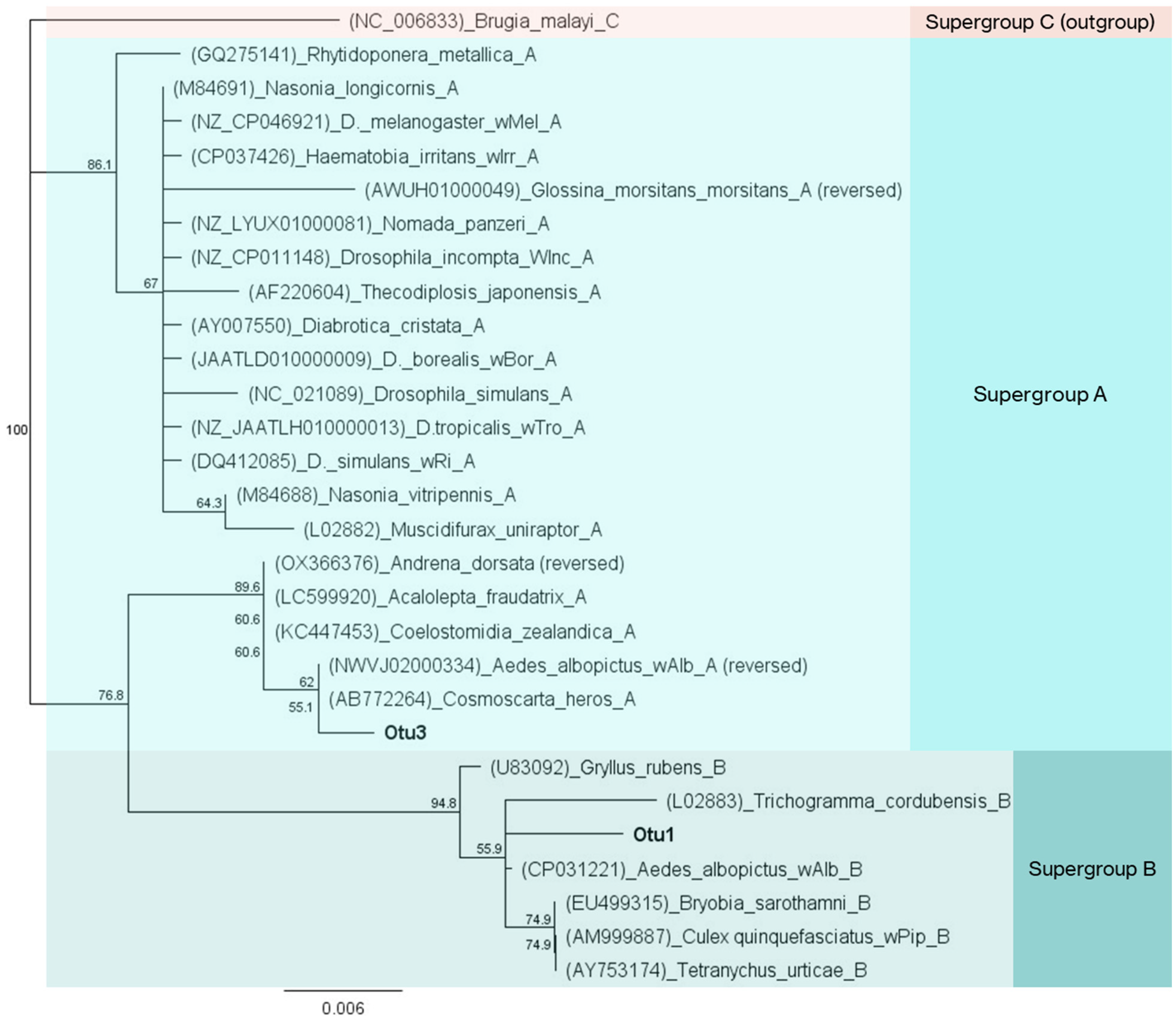 Microorganisms 13 01486 g007