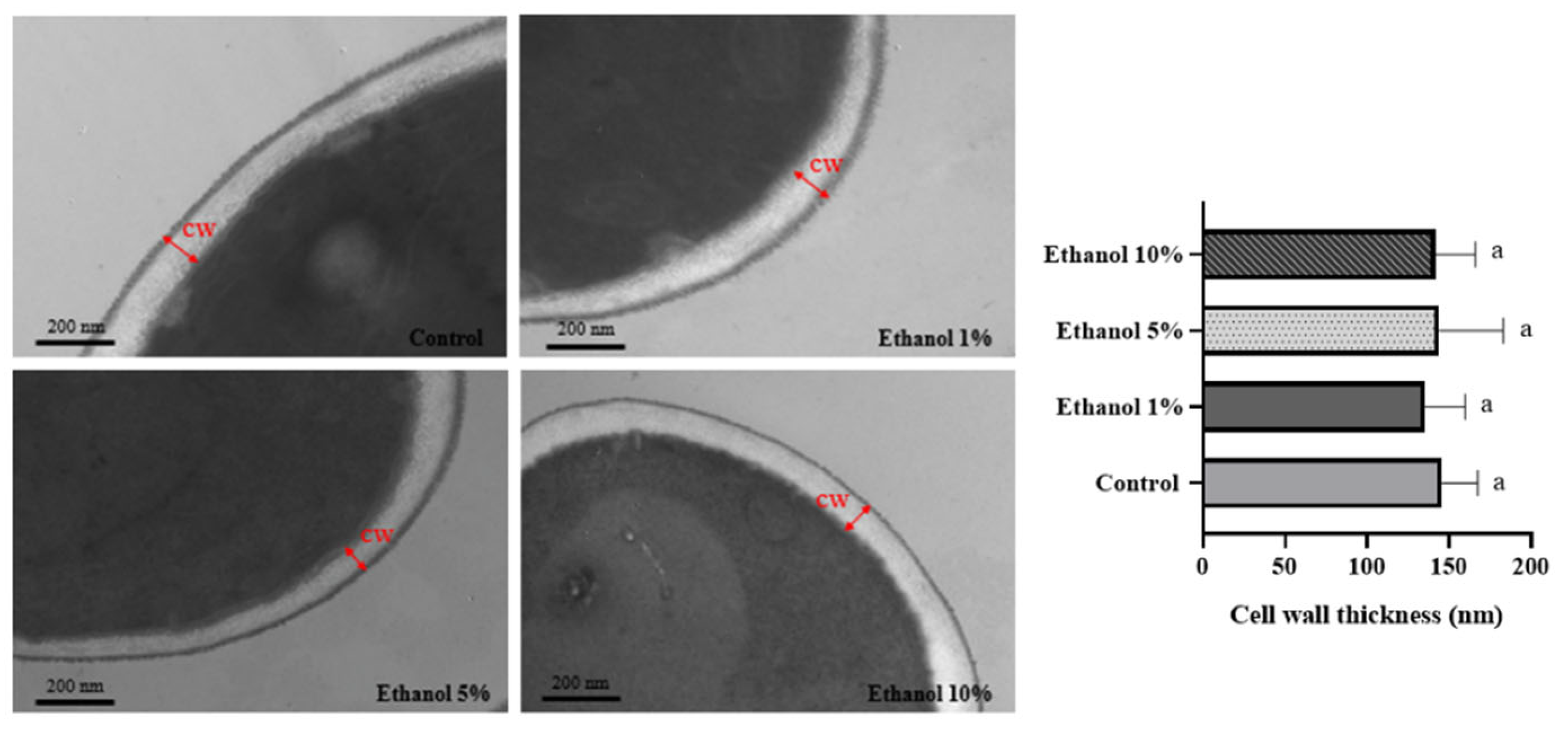 Microorganisms 13 01489 g002