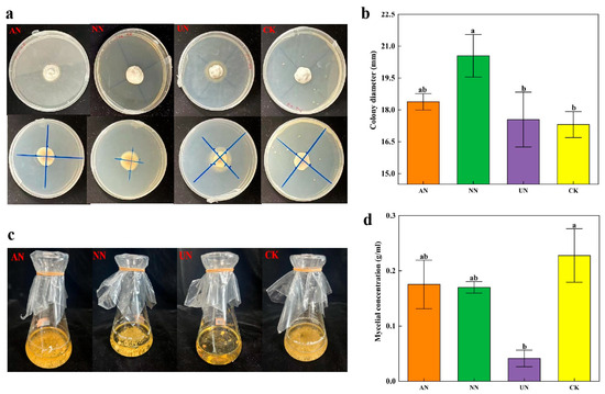 Achnatherum inebrians Bacterial Communities Associated with