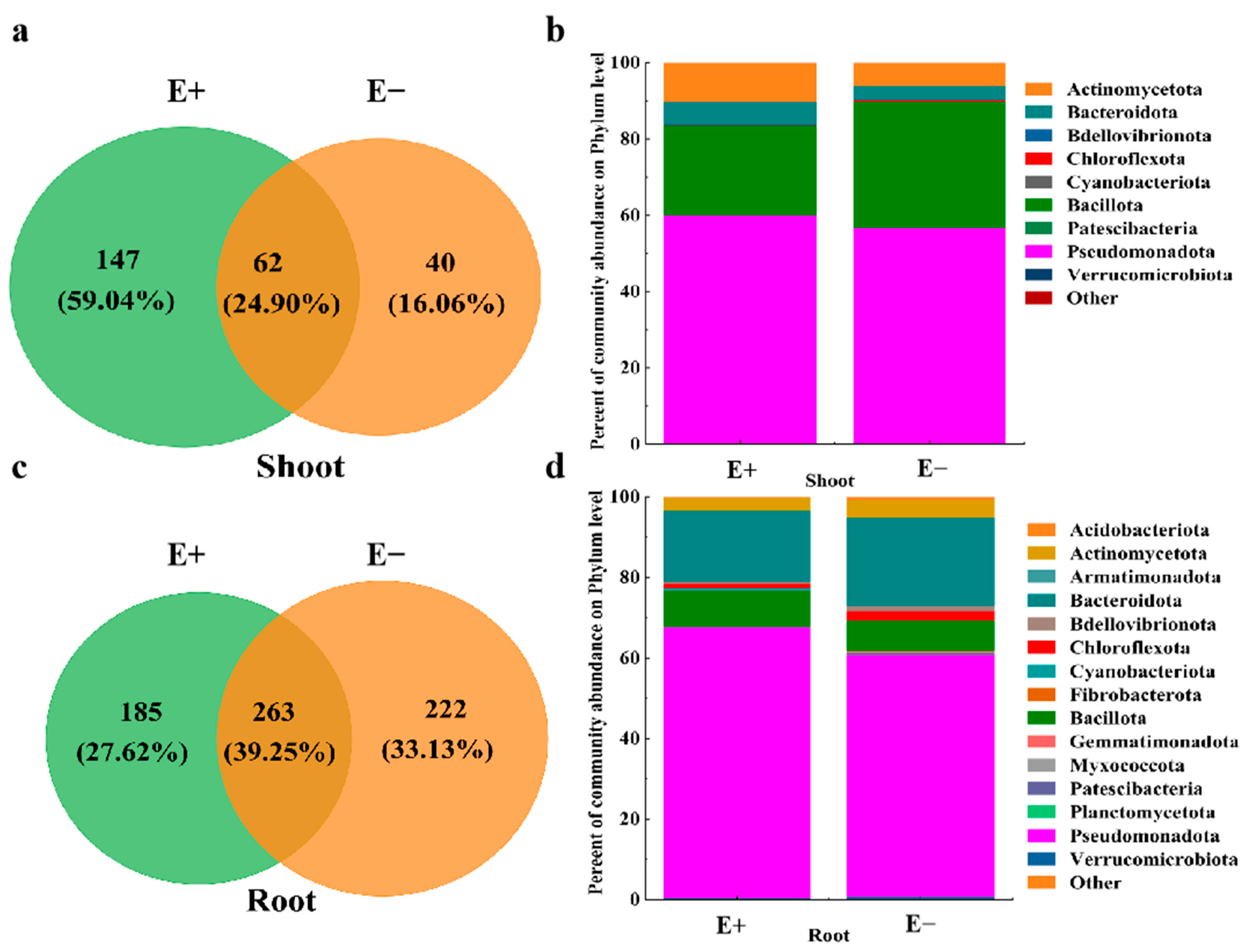 Microorganisms 13 01493 g003 Microorganisms 13 01493 g003