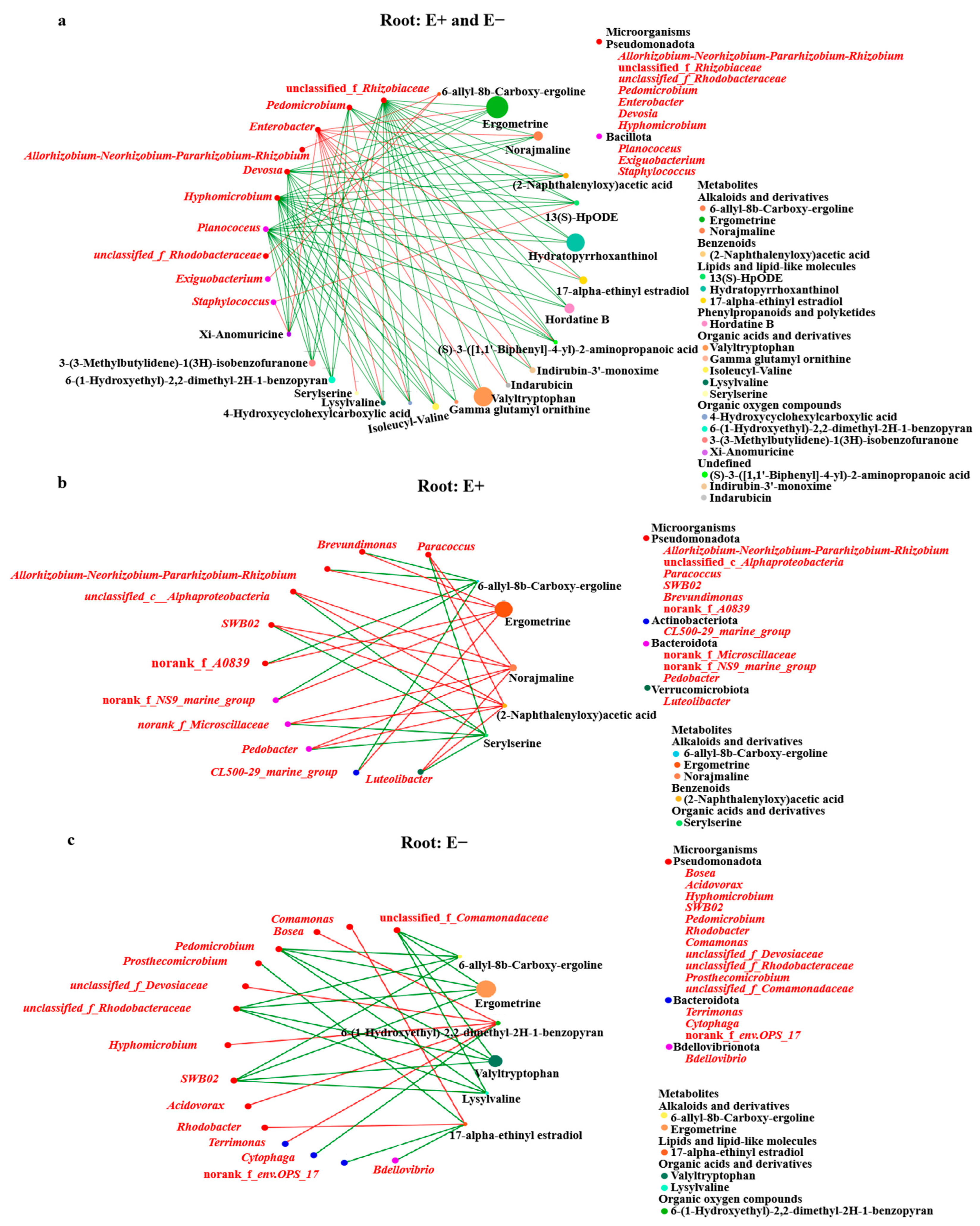 Microorganisms 13 01493 g007 Microorganisms 13 01493 g007