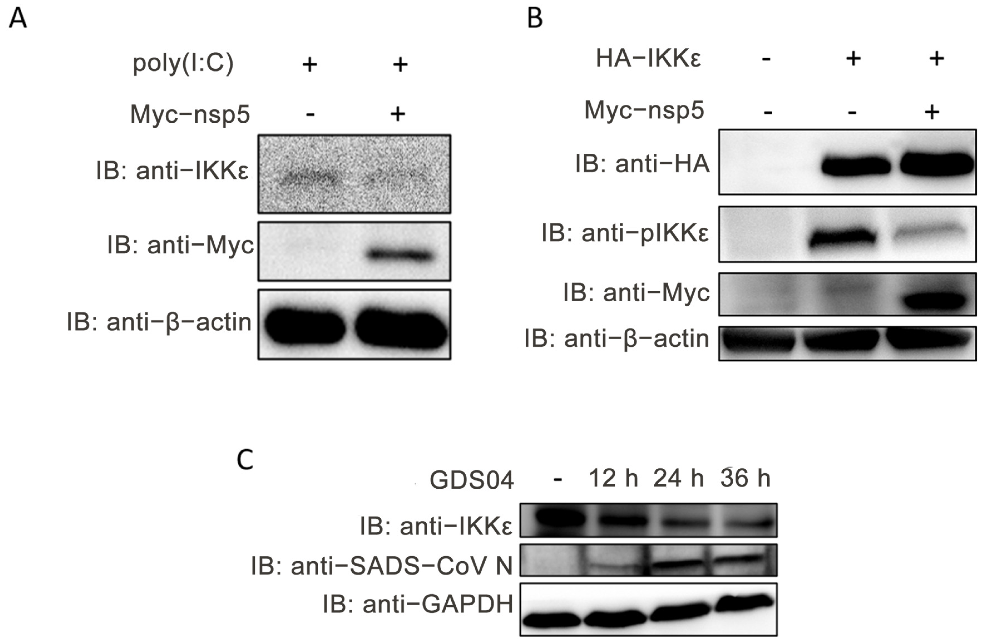 Microorganisms 13 01494 g006