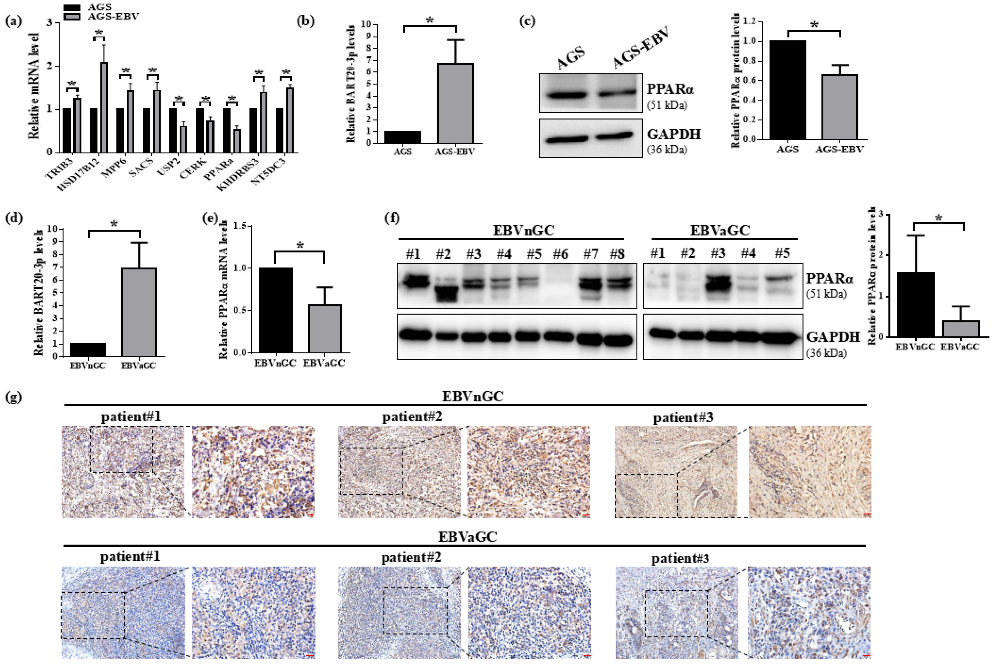 Microorganisms 13 01514 g002