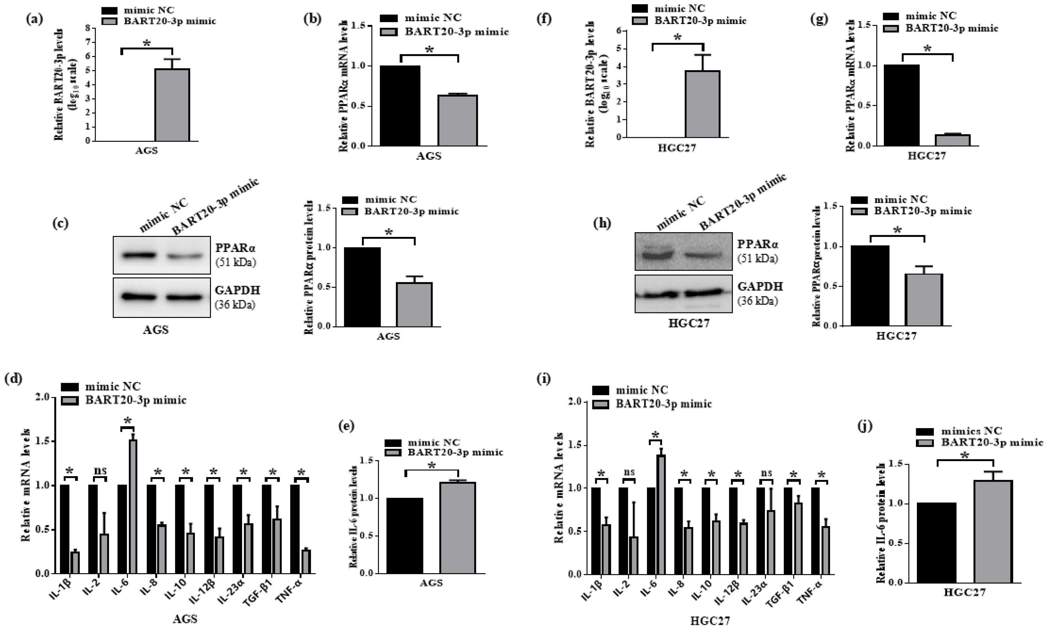 Microorganisms 13 01514 g006