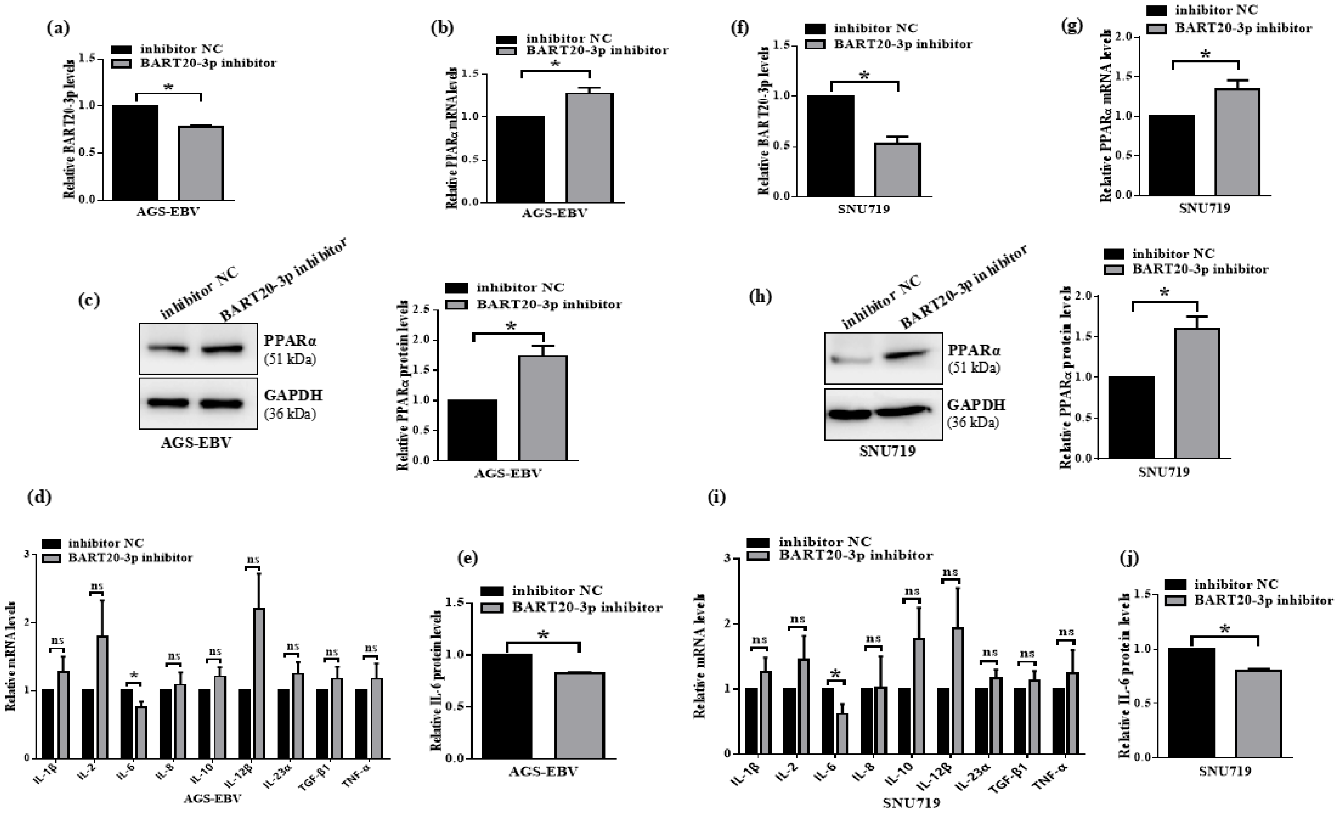 Microorganisms 13 01514 g007