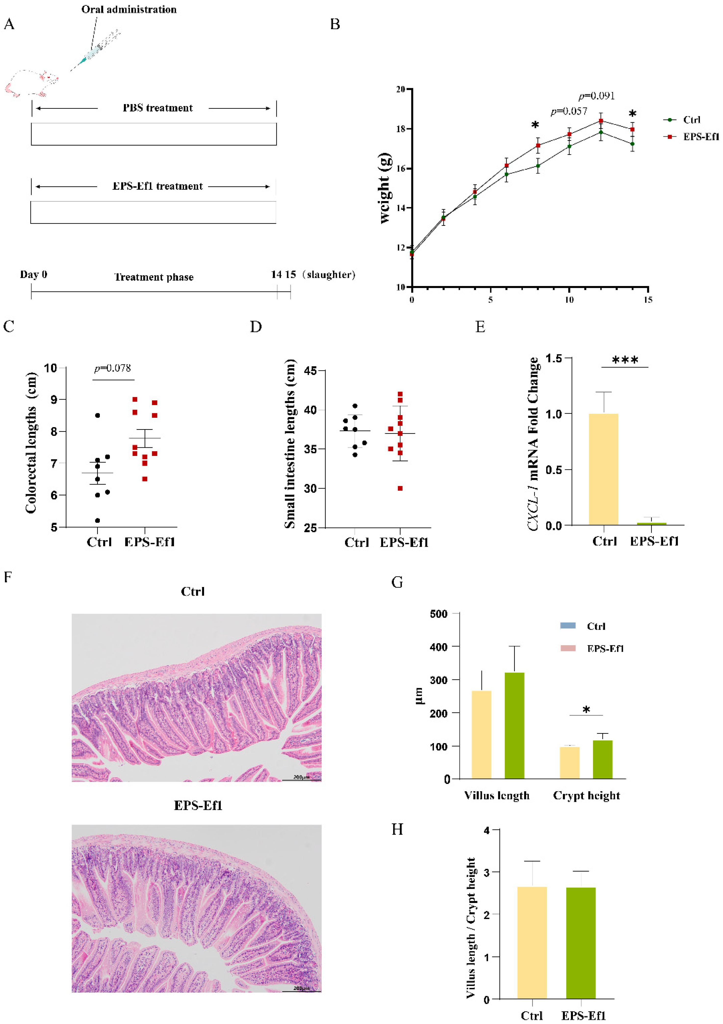 Microorganisms 13 01518 g005