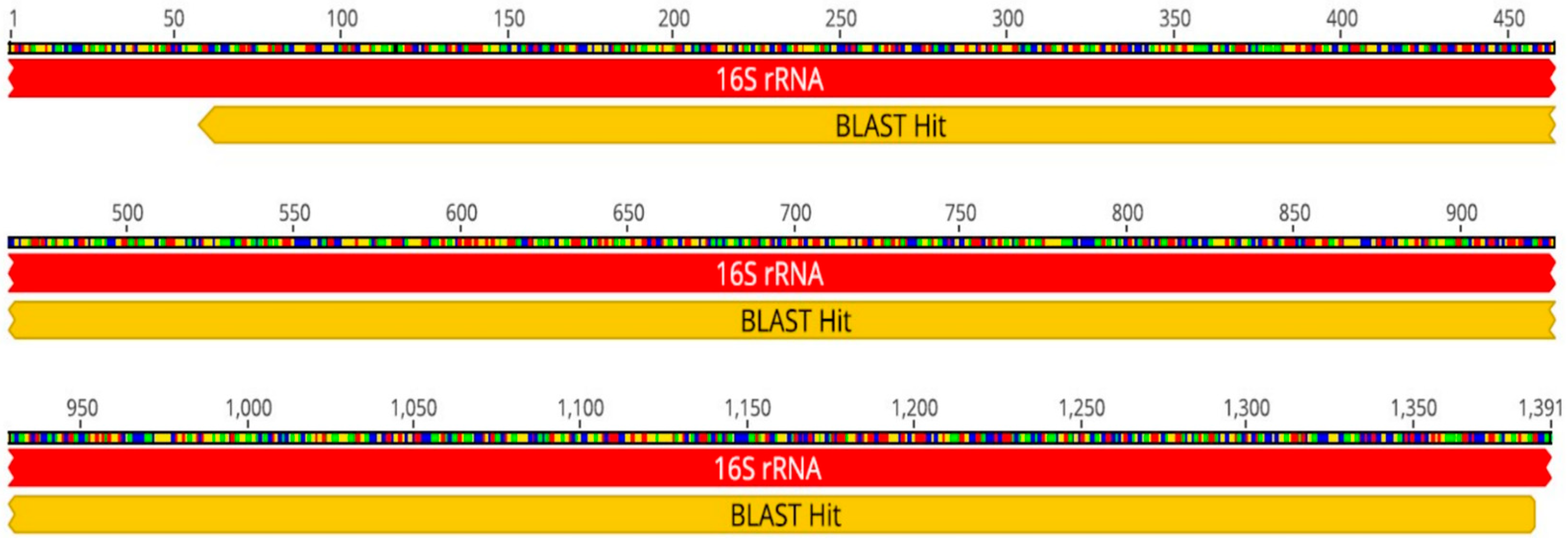 Microorganisms 13 01520 g001