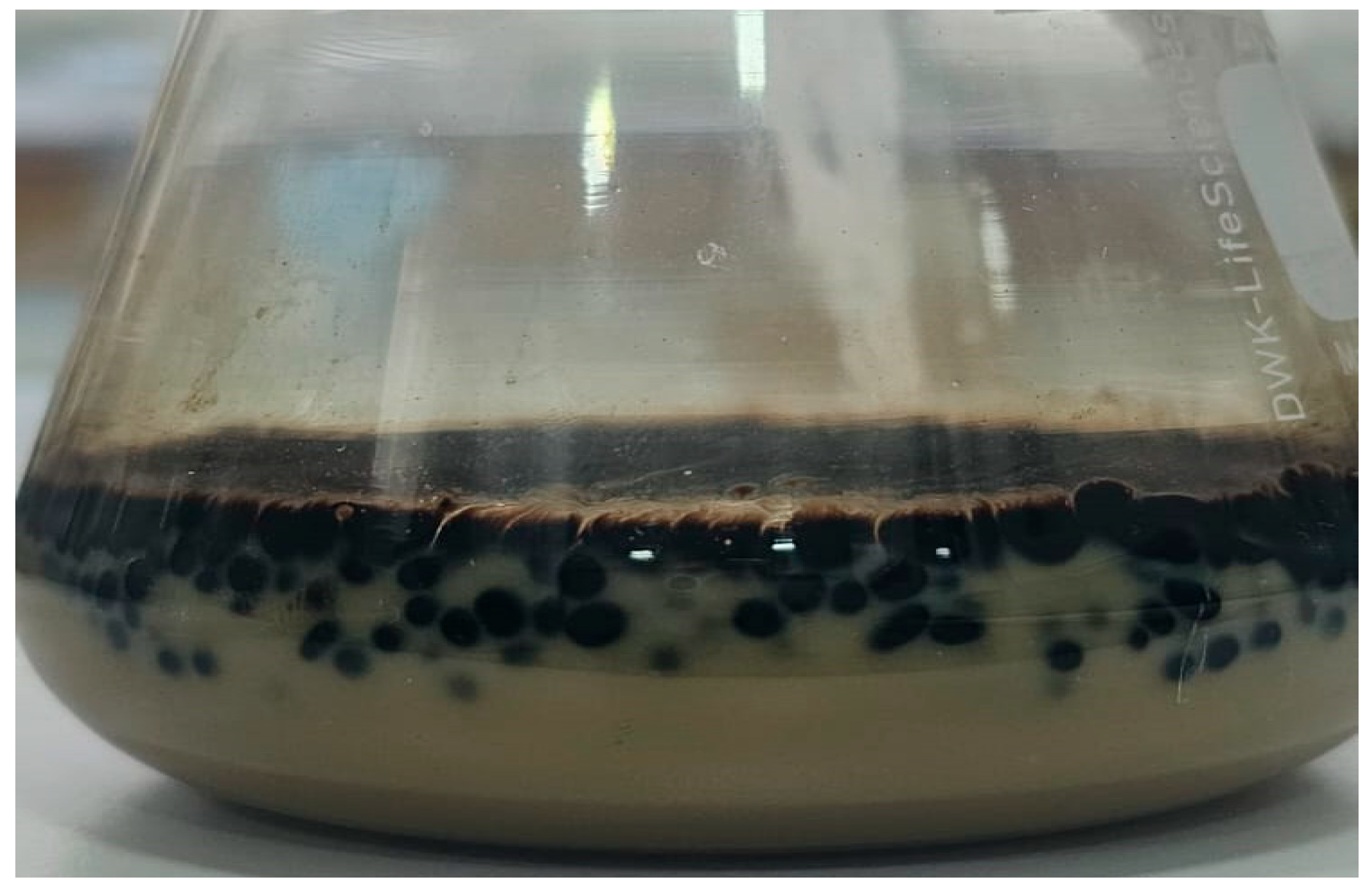 Microorganisms 13 01520 g004