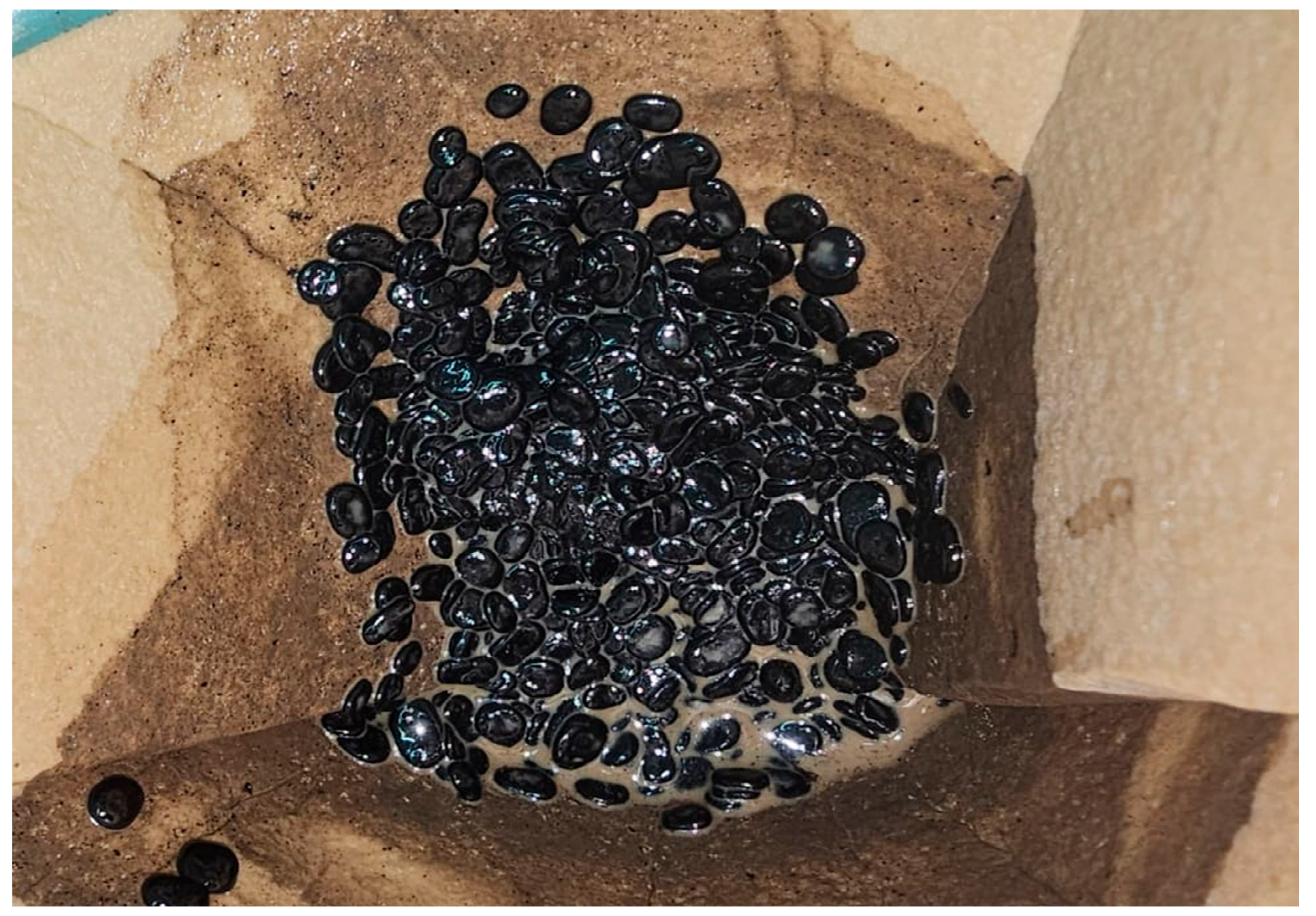 Microorganisms 13 01520 g007