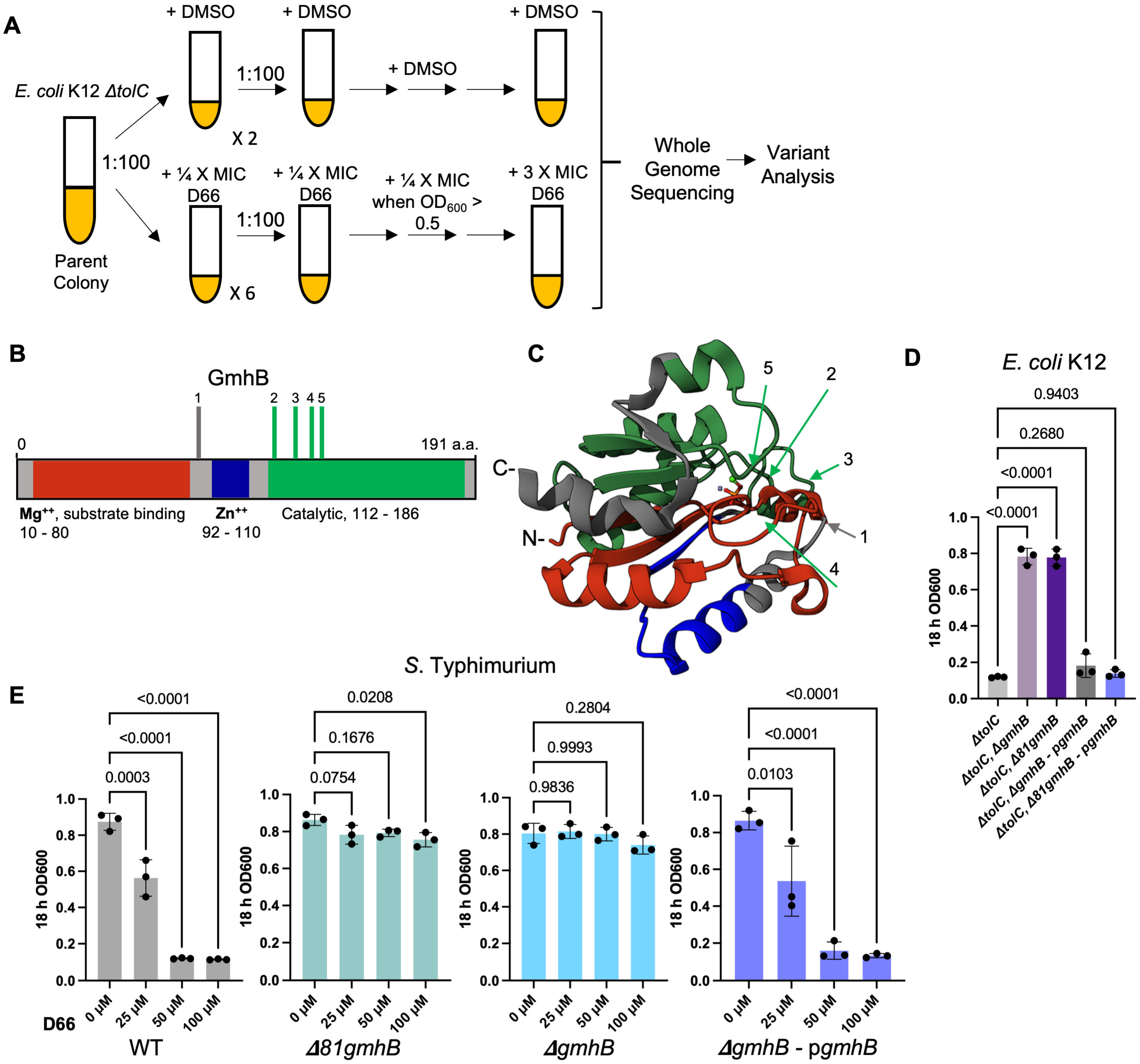 Microorganisms 13 01521 g001 Microorganisms 13 01521 g001