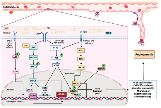 TK様 Craftsman 2-1/2 in. x 20 ft. POS-I-LOCK Wet/Dry Vacuum Hose