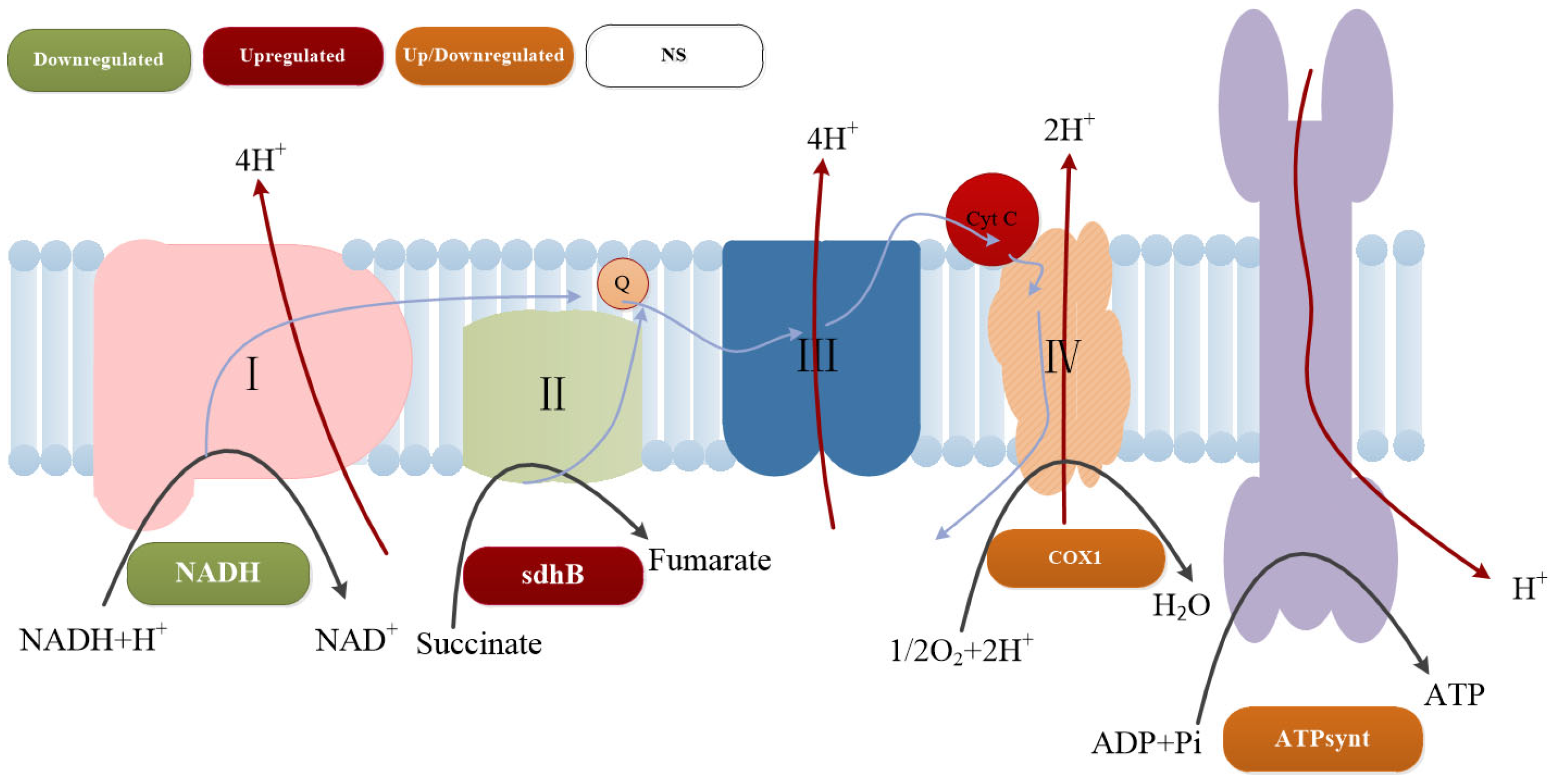 Microorganisms 13 01526 g008