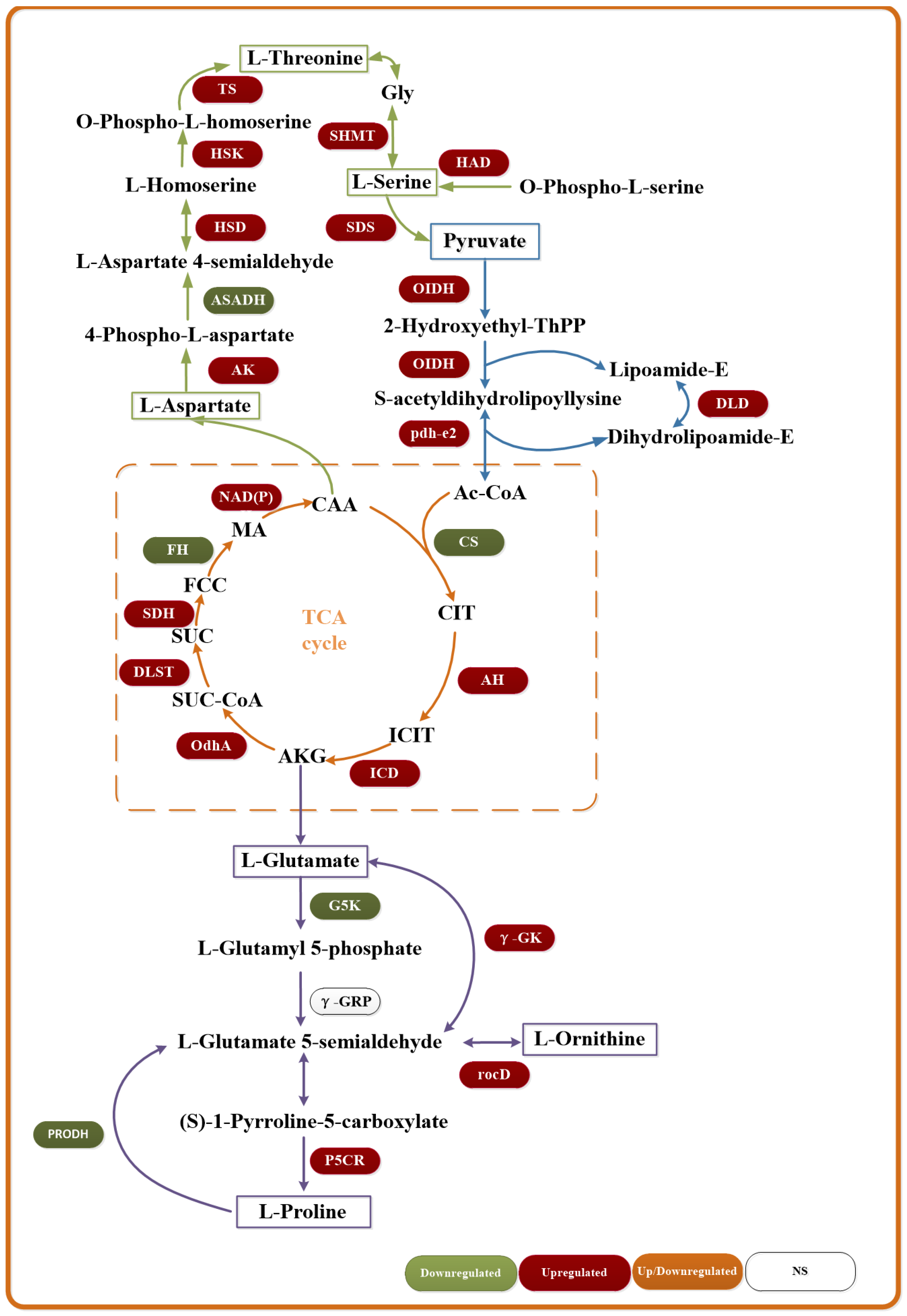 Microorganisms 13 01526 g009