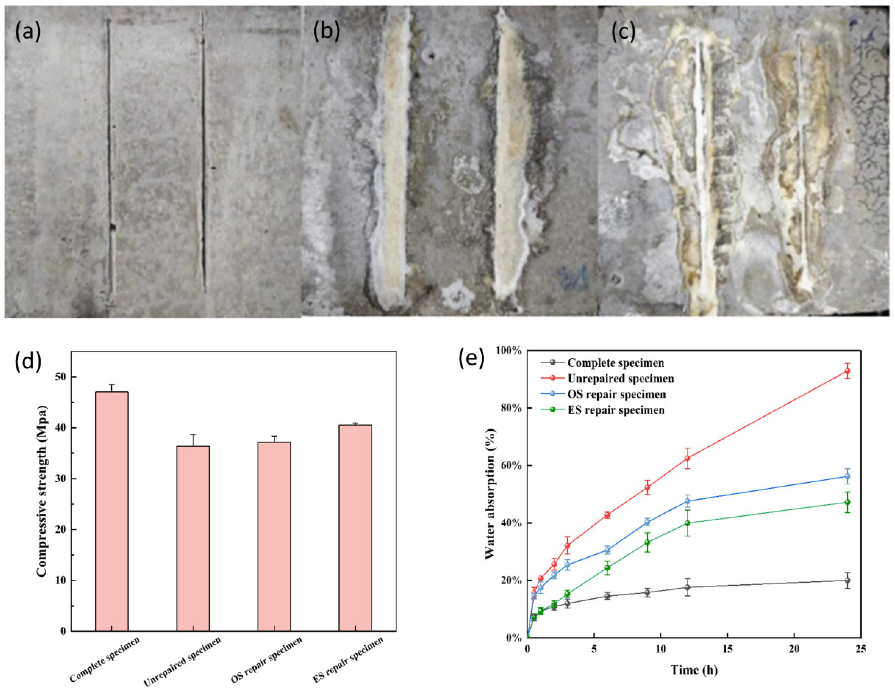 Microorganisms 13 01526 g010