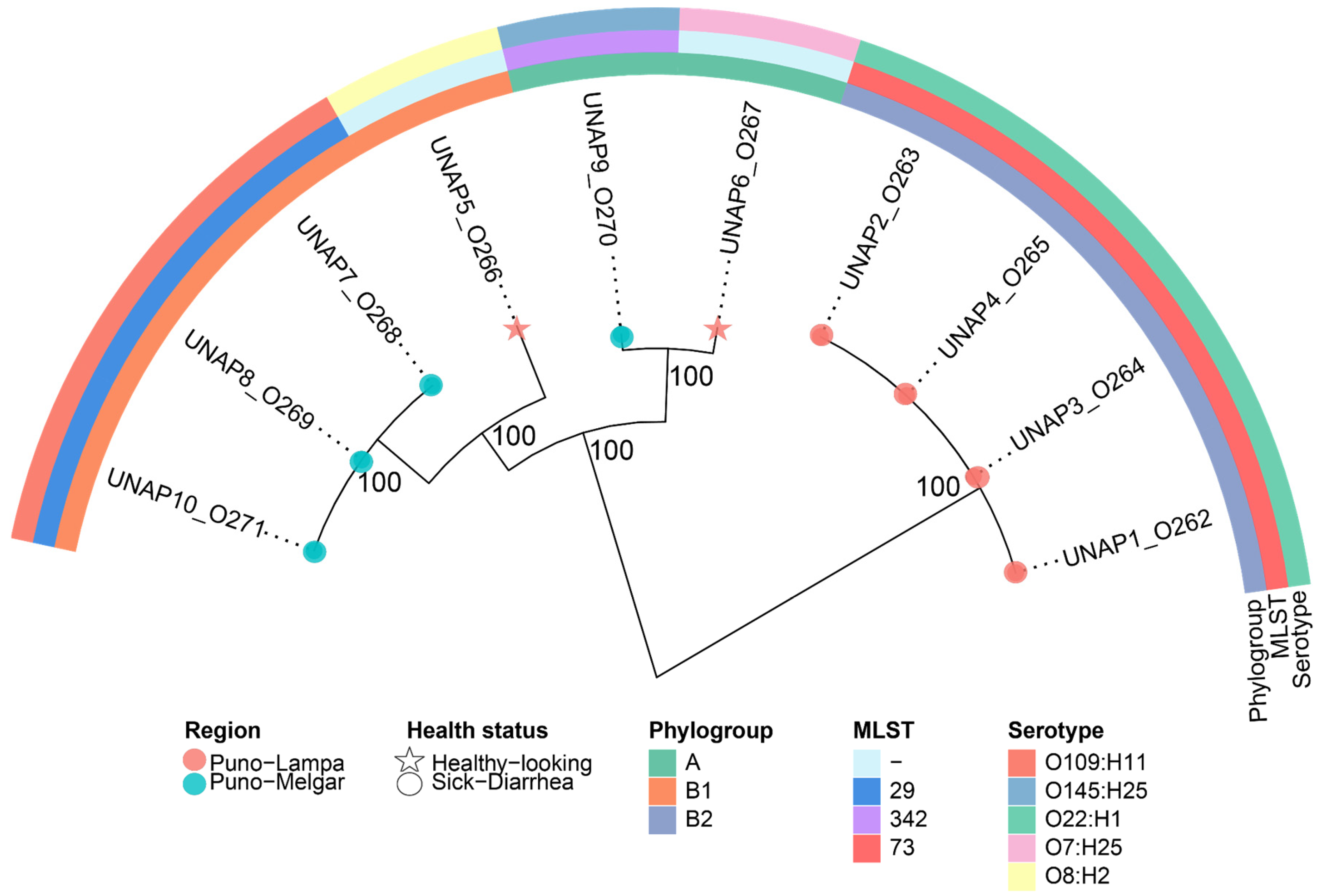 Microorganisms 13 01533 g001