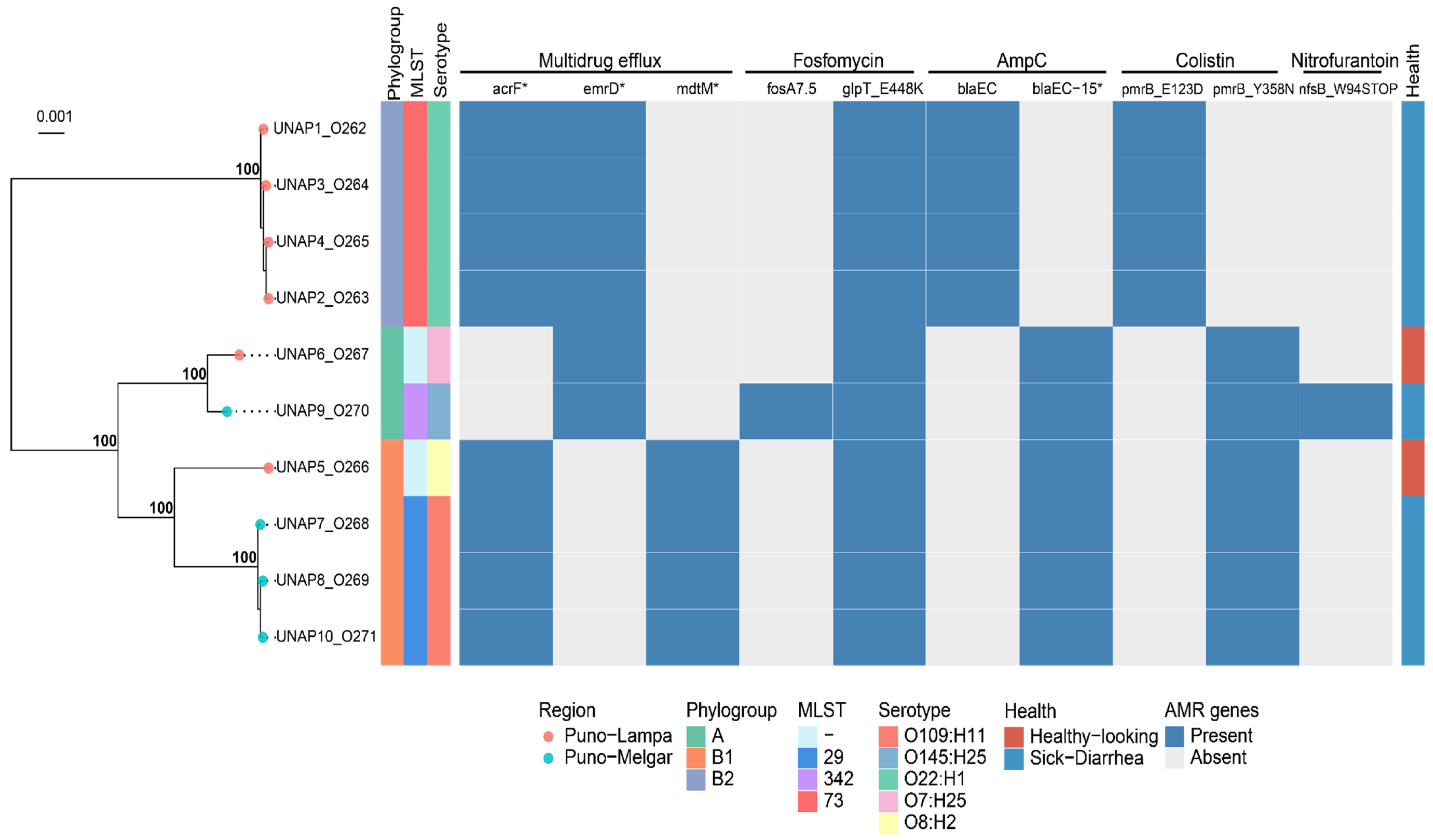 Microorganisms 13 01533 g002