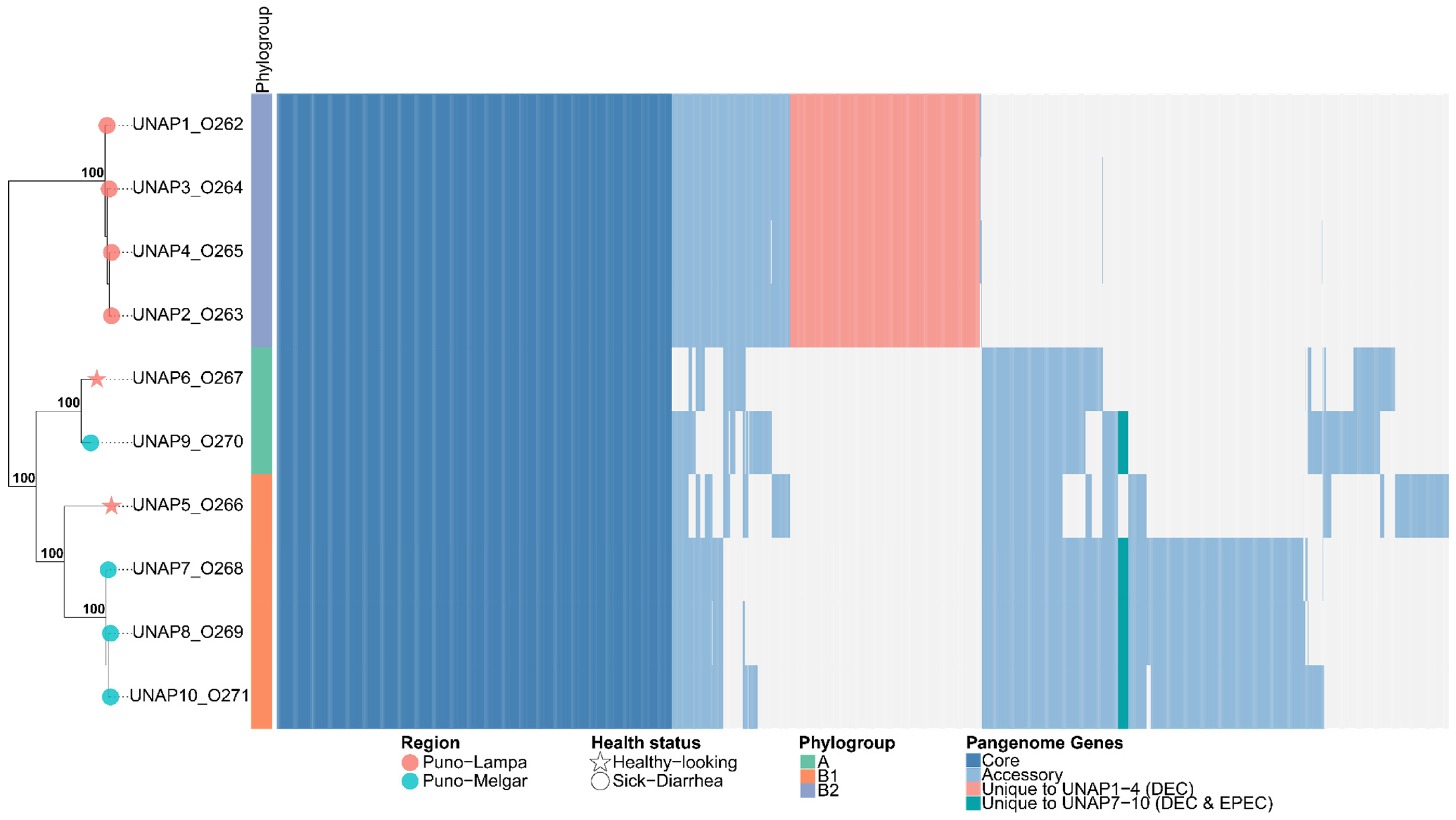 Microorganisms 13 01533 g004
