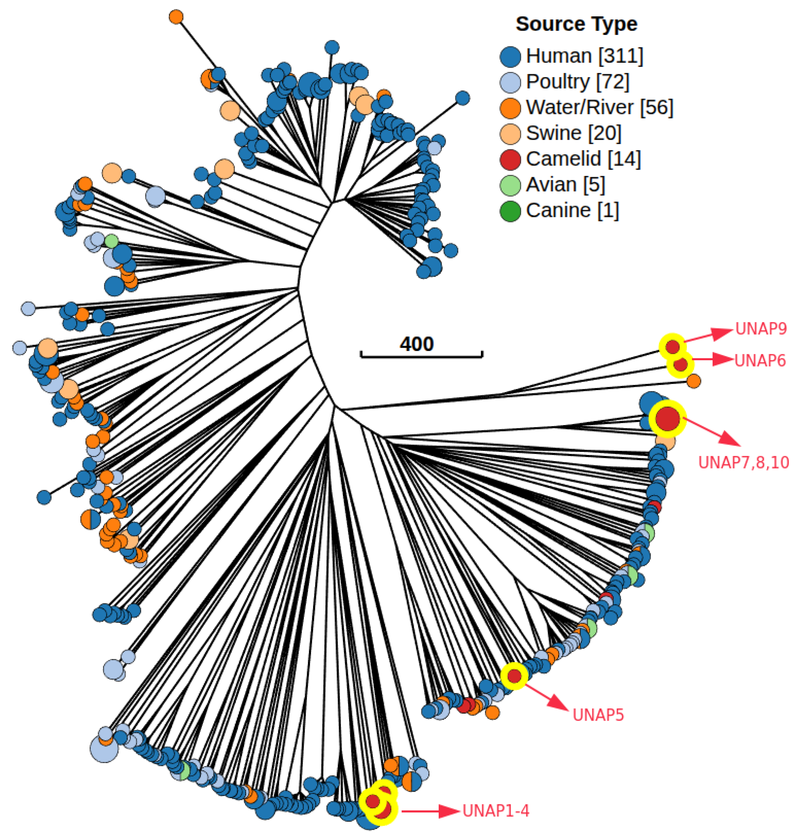 Microorganisms 13 01533 g008