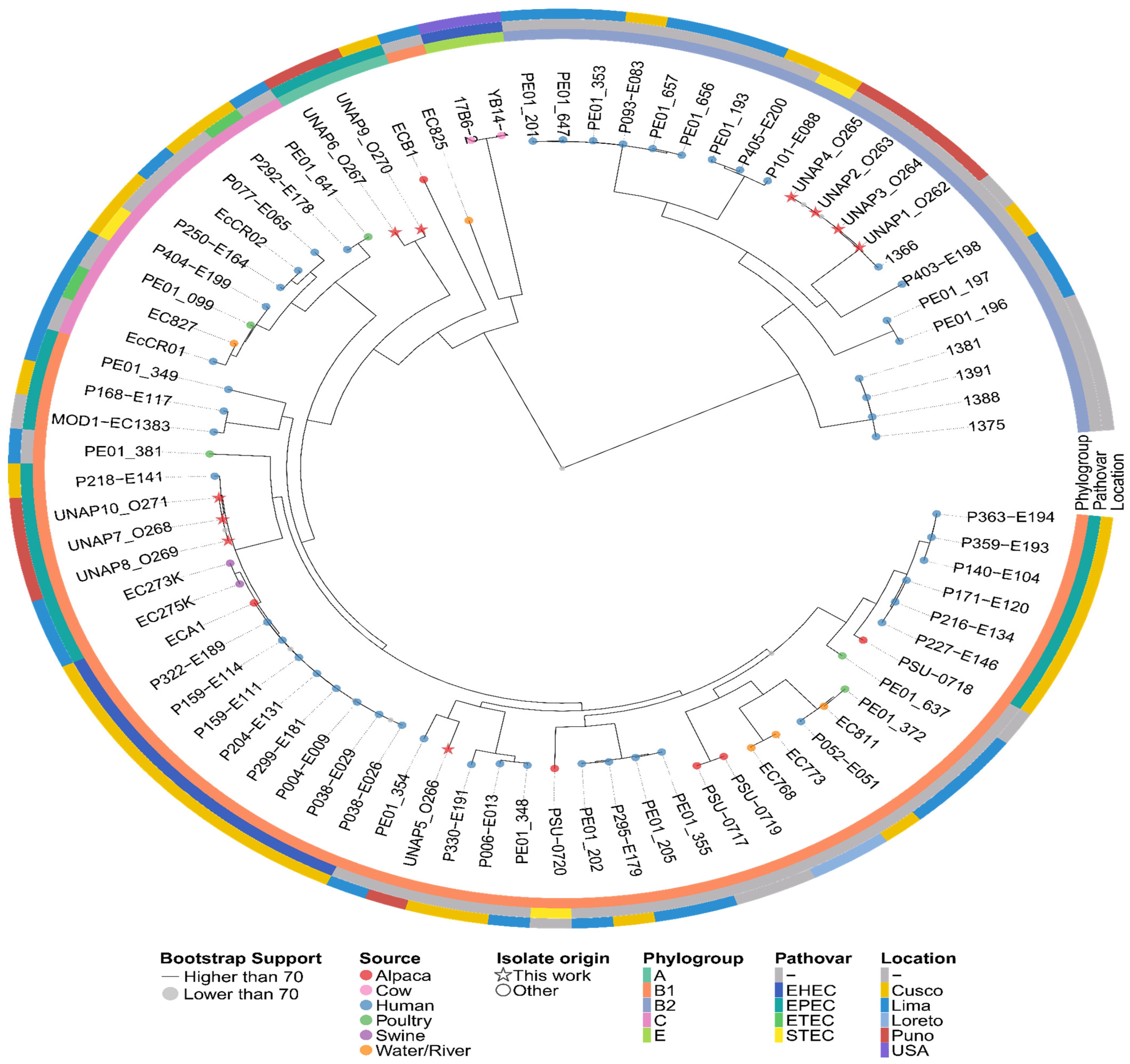 Microorganisms 13 01533 g009